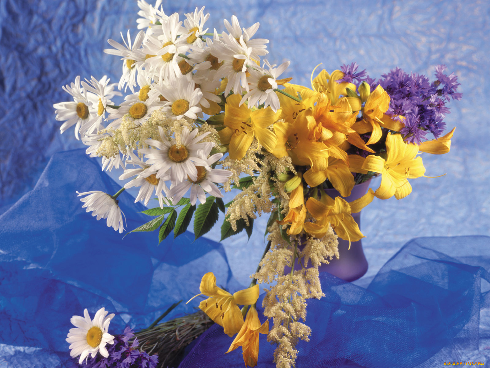 цветы, букеты, композиции