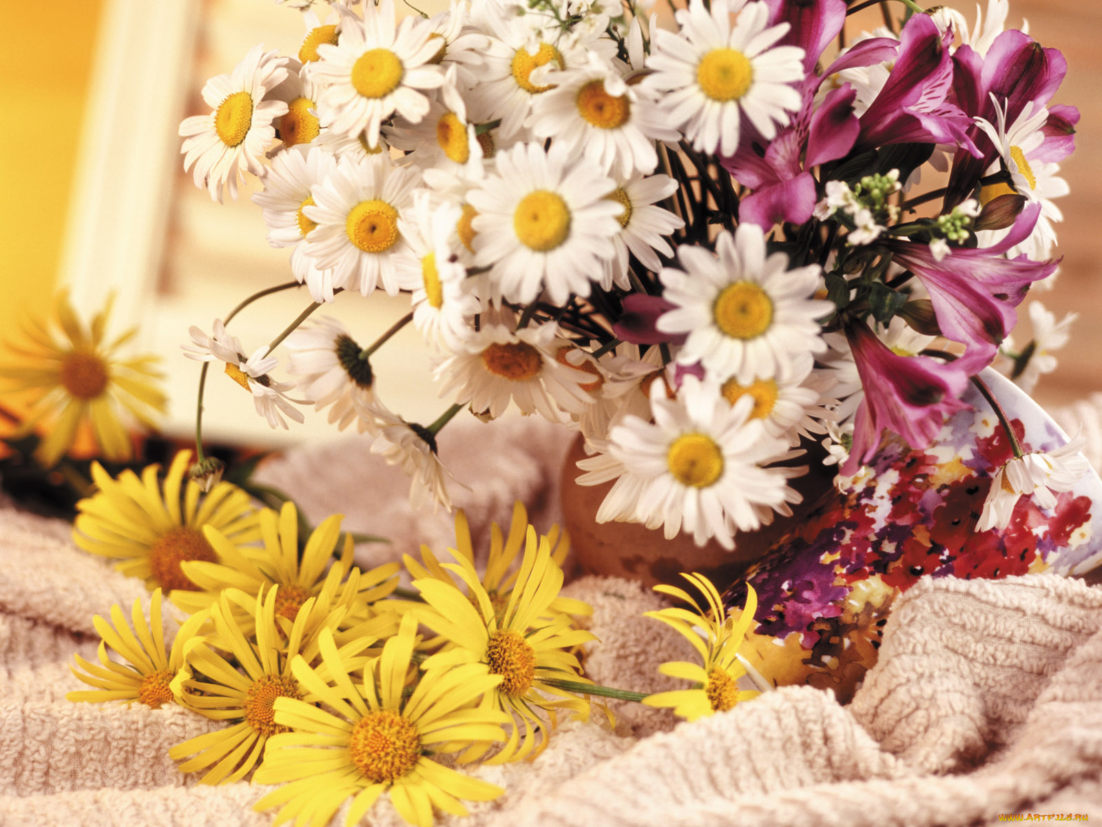 цветы, букеты, композиции