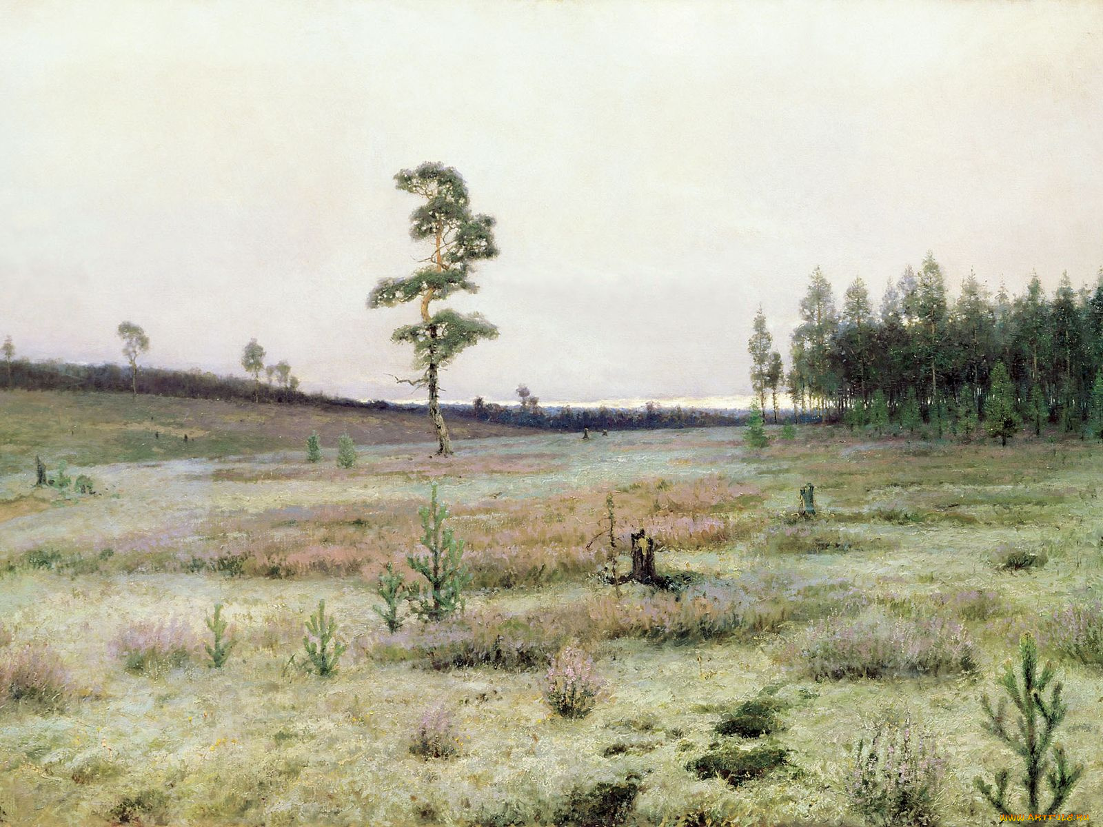 иван, ендогуров, рисованные