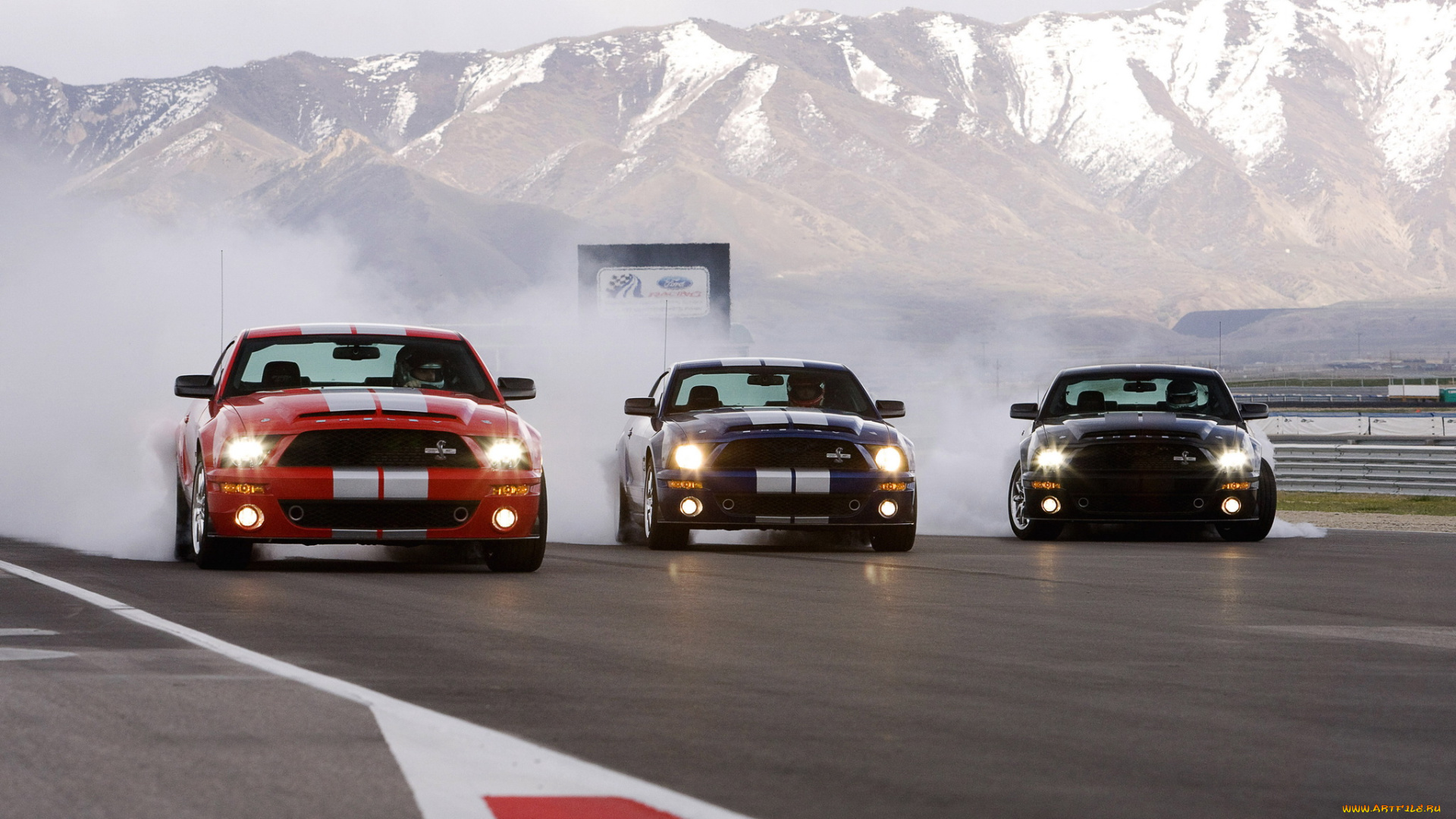 автомобили, mustang