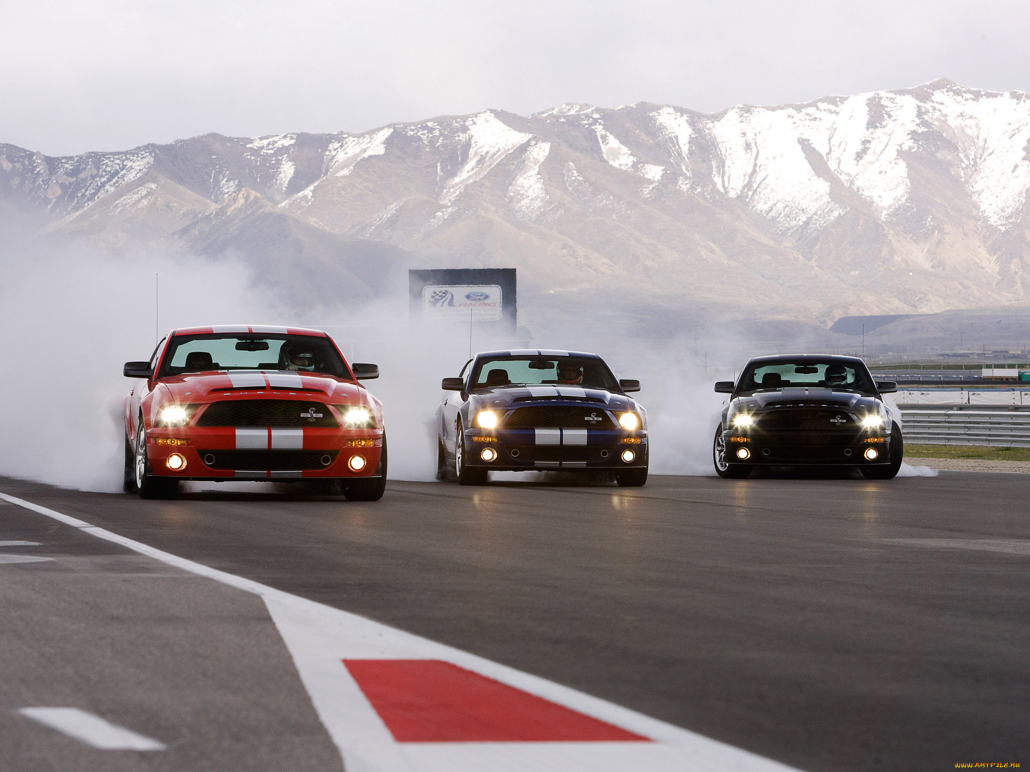 автомобили, mustang