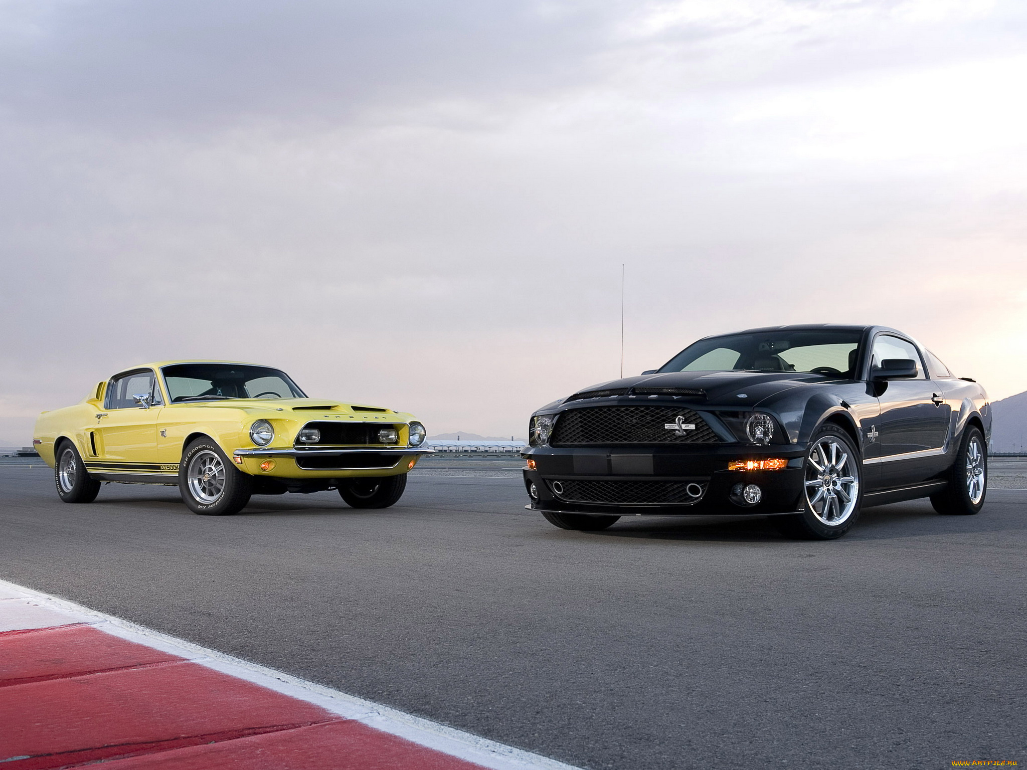 автомобили, mustang