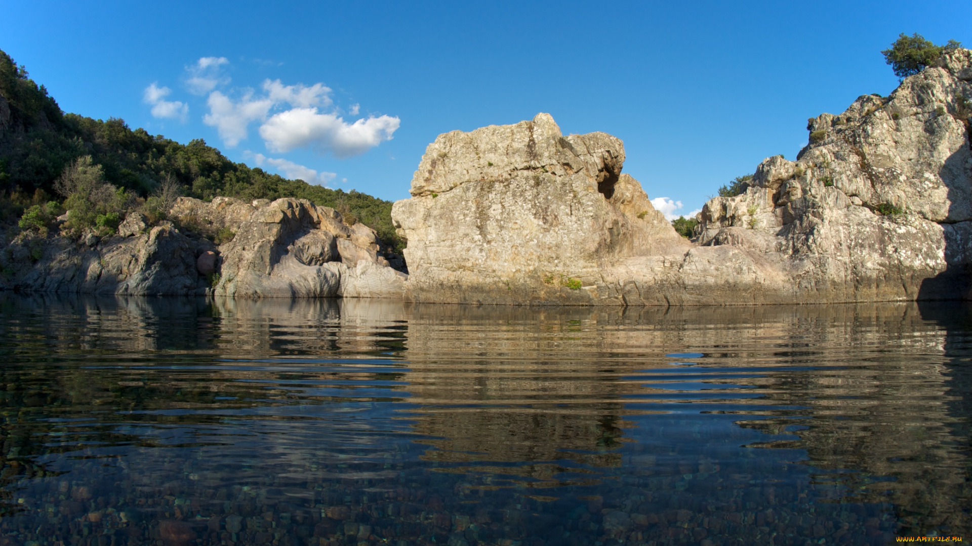 природа, реки, озера, вода, берег