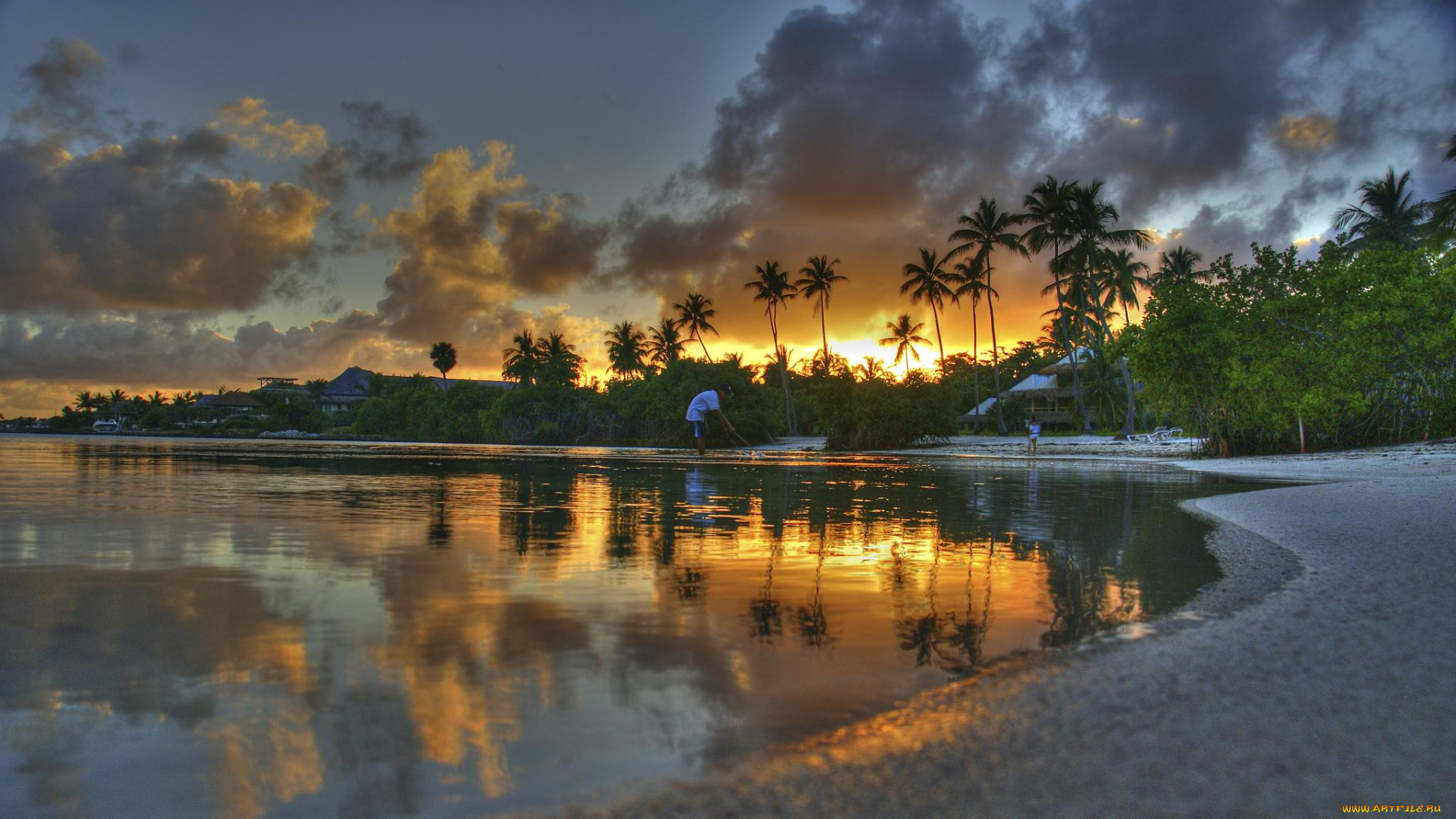 природа, тропики, закат