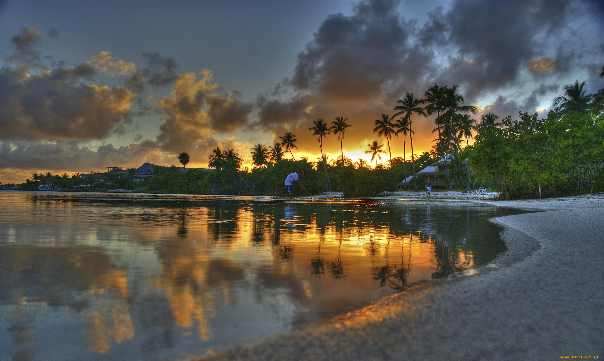 природа, тропики, закат