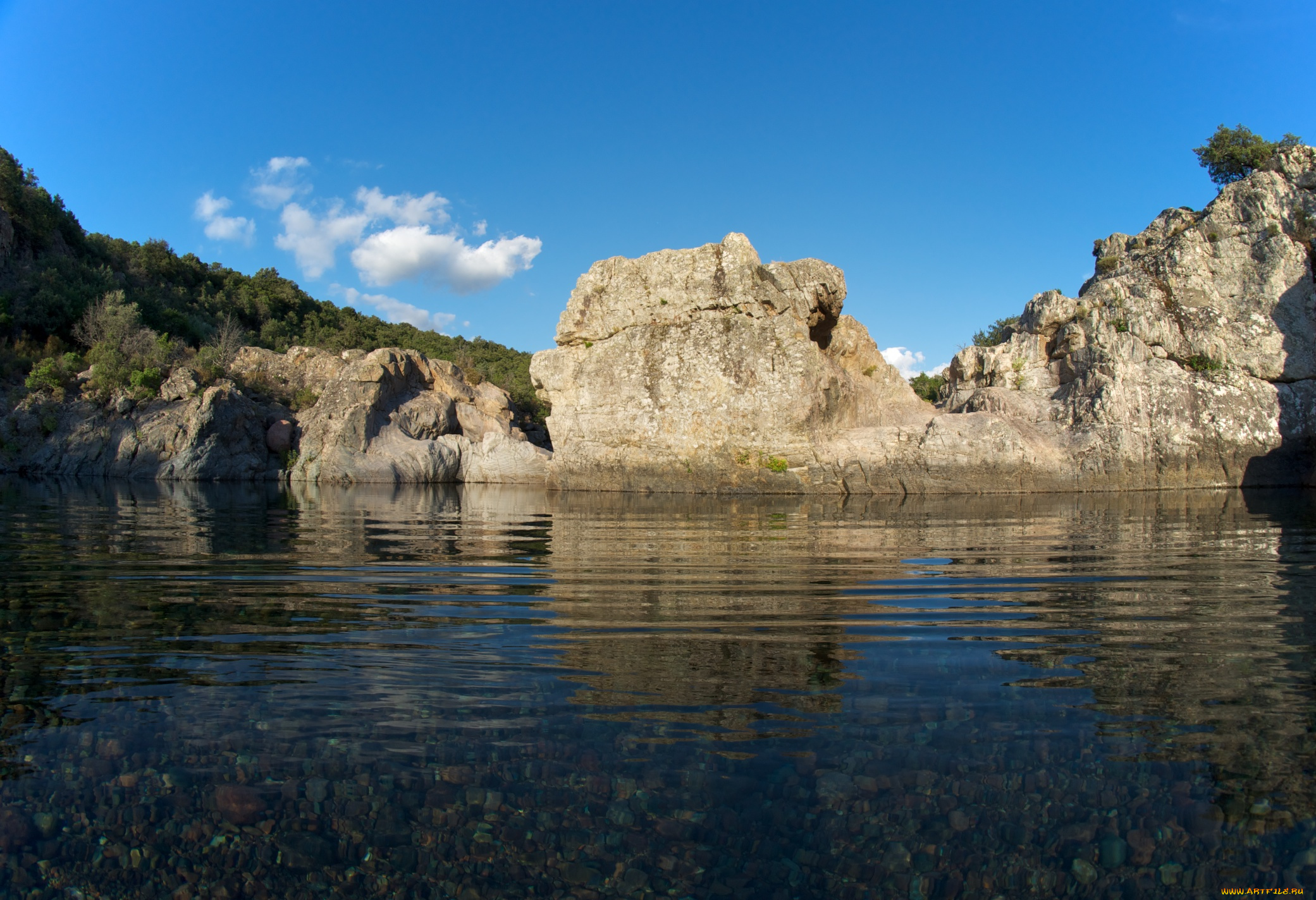 природа, реки, озера, вода, берег