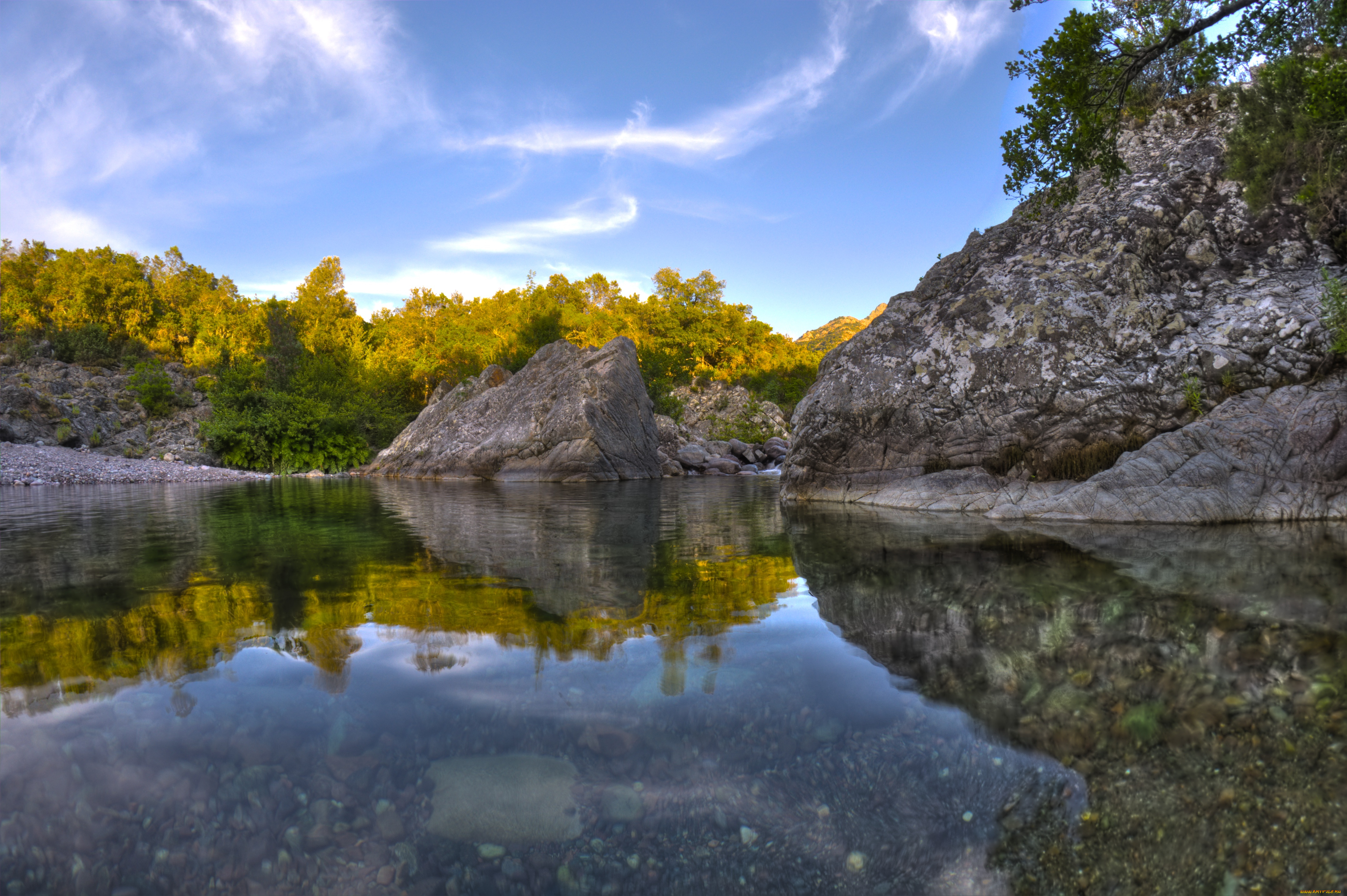 природа, реки, озера, берег, вода