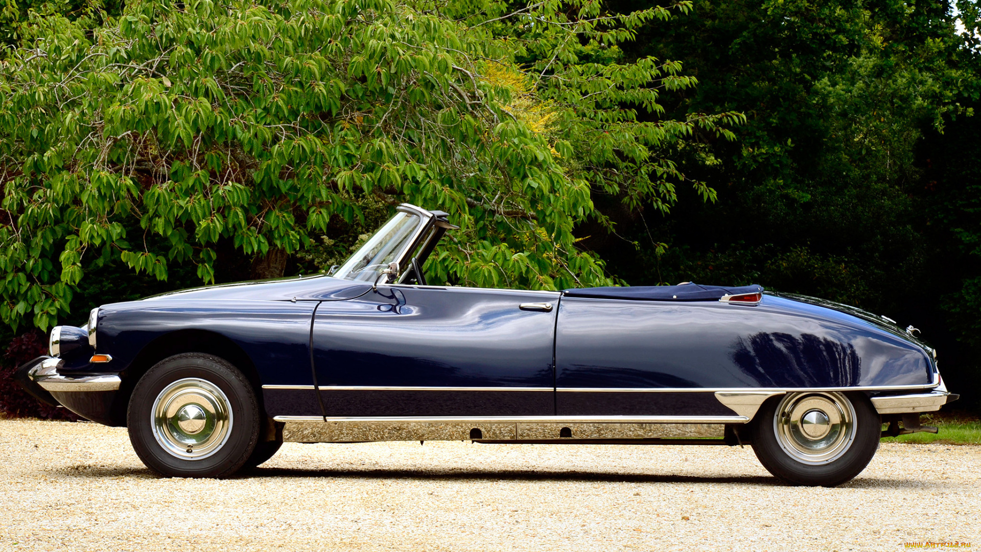 citroen, ds, автомобили