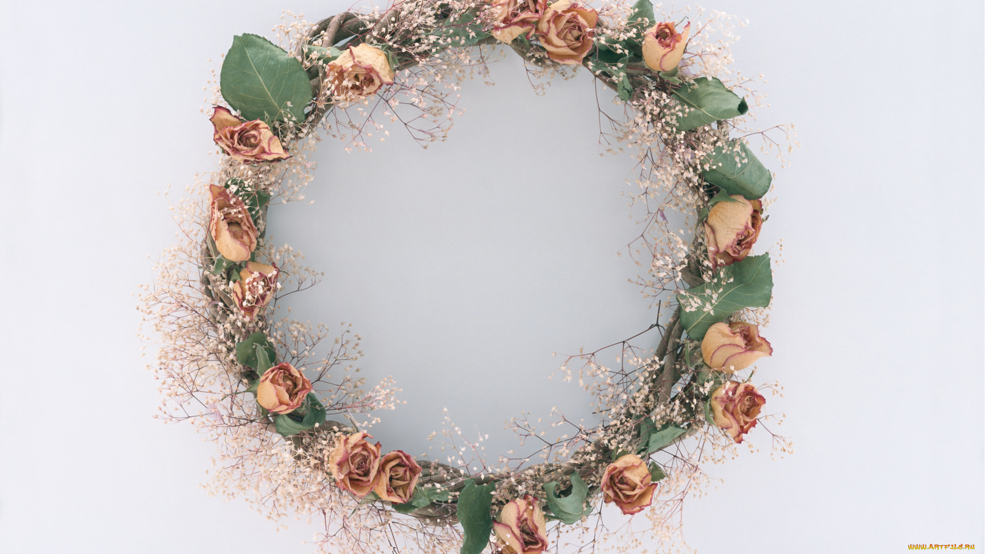цветы, букеты, композиции, венок