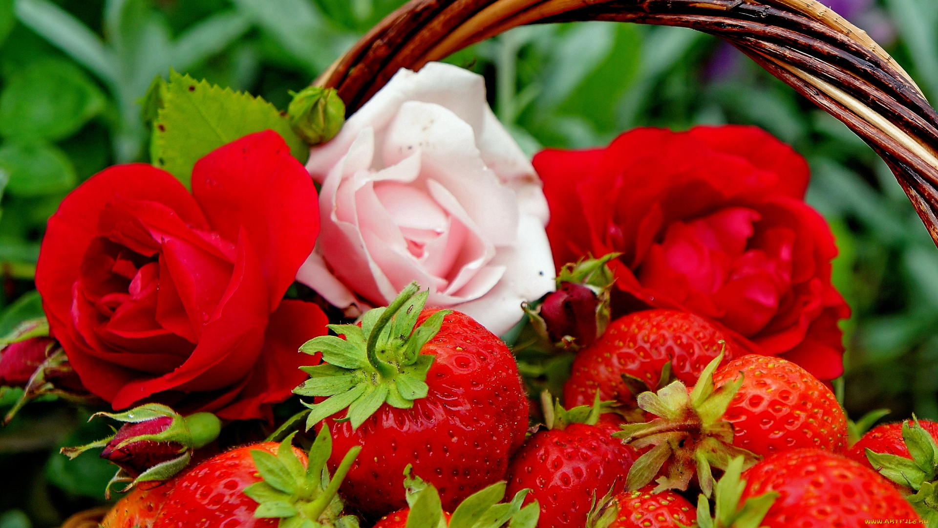еда, клубника, земляника, бутоны, ягоды, цветы, розы