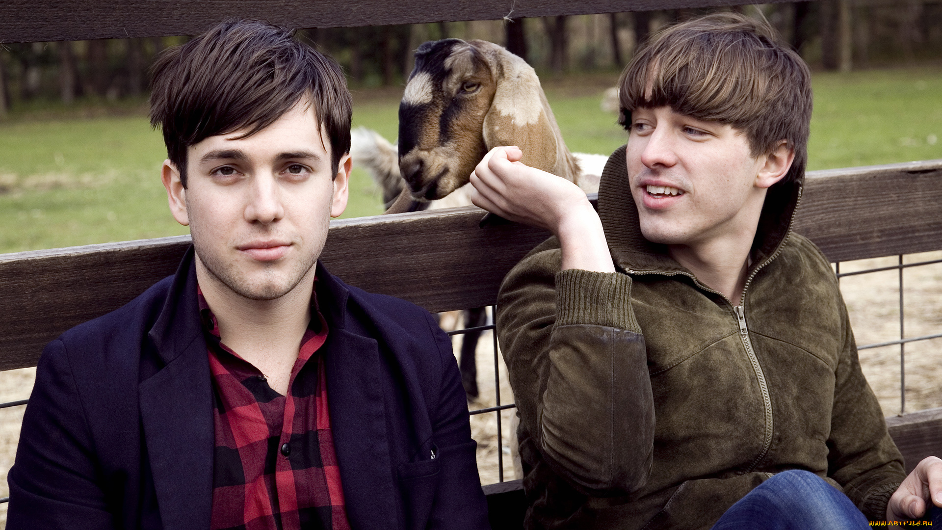 oh, mercy, музыка, другое, австралия, поп-группа