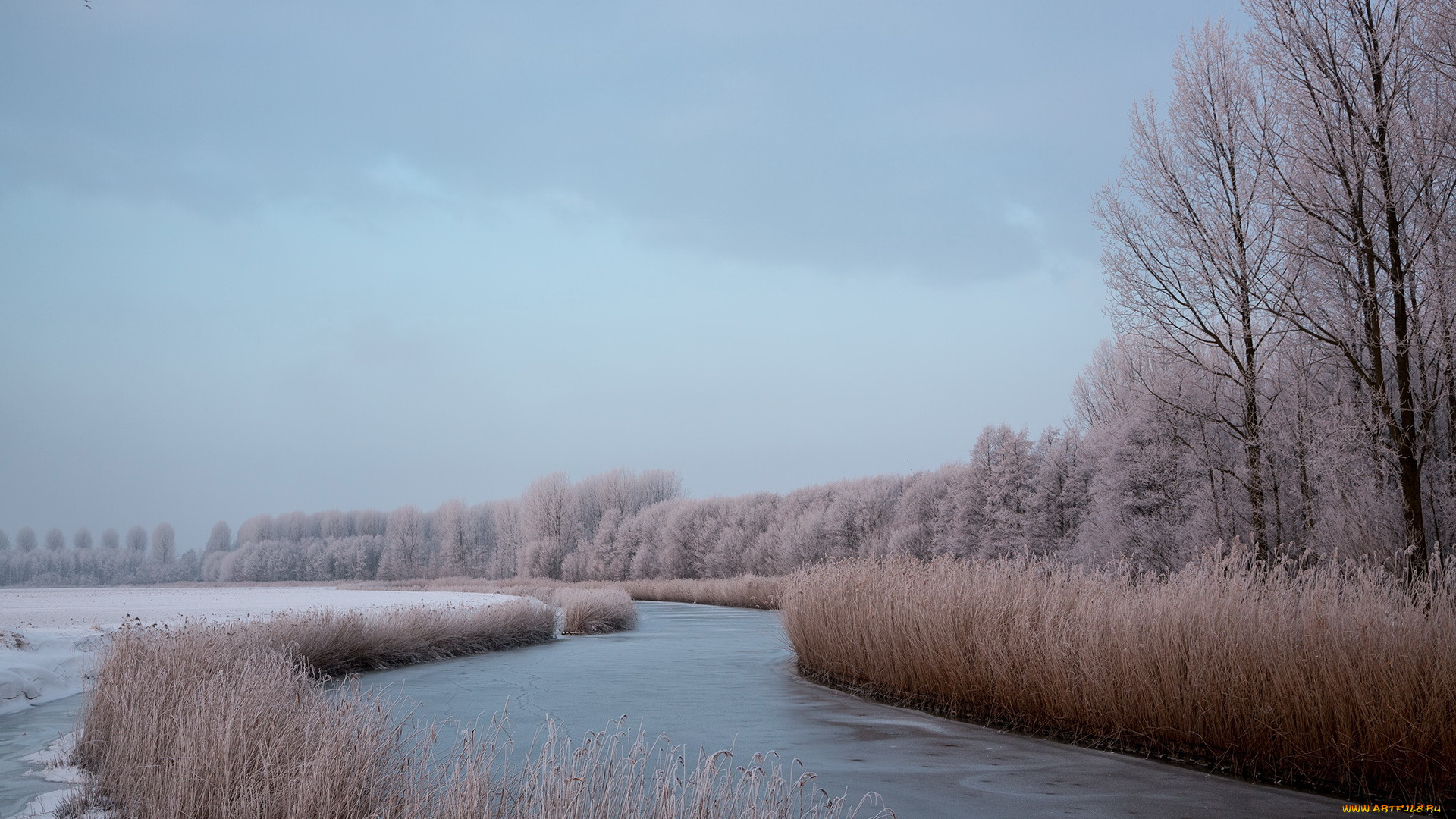 природа, зима