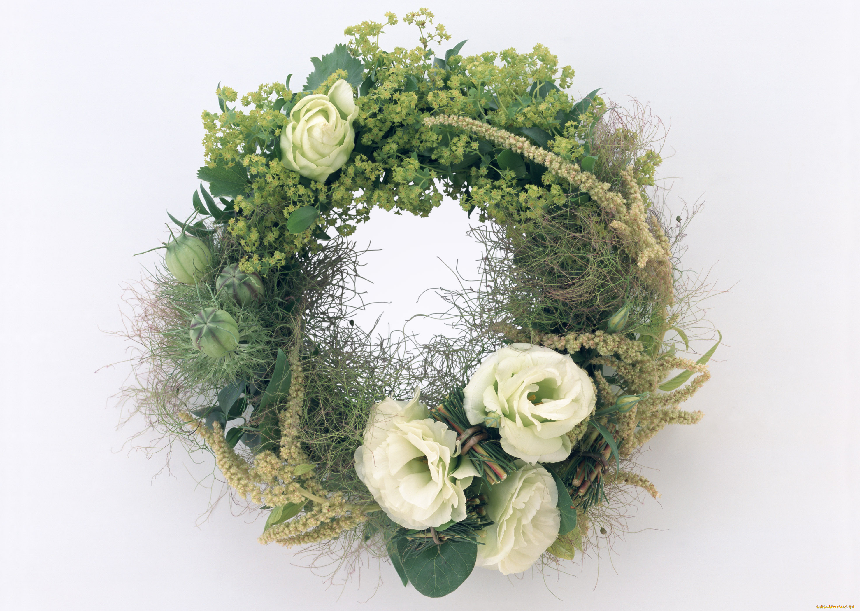 цветы, букеты, композиции, листочки