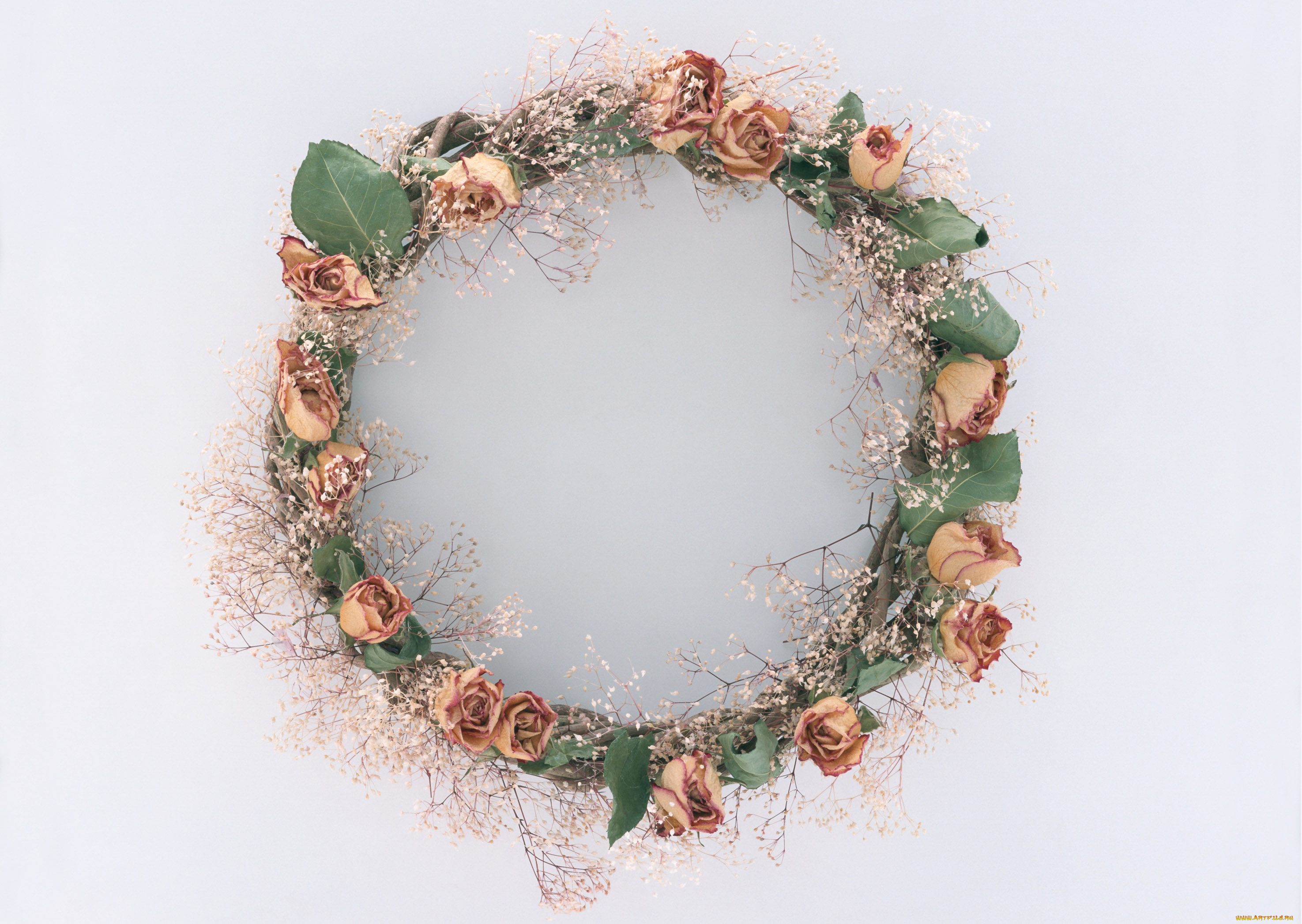 цветы, букеты, композиции, венок