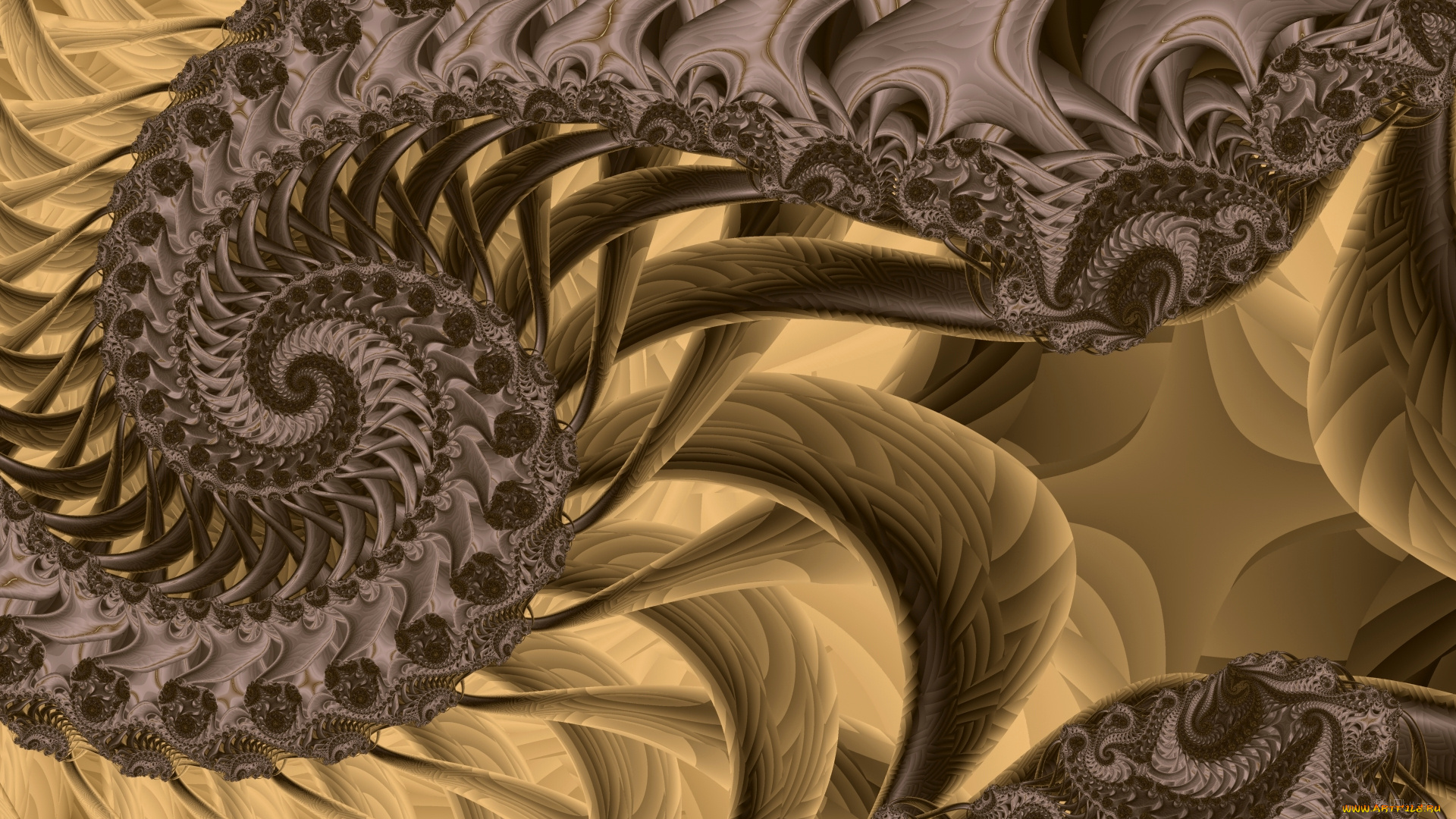 3д, графика, fractal, , фракталы, узор, цвета, фон