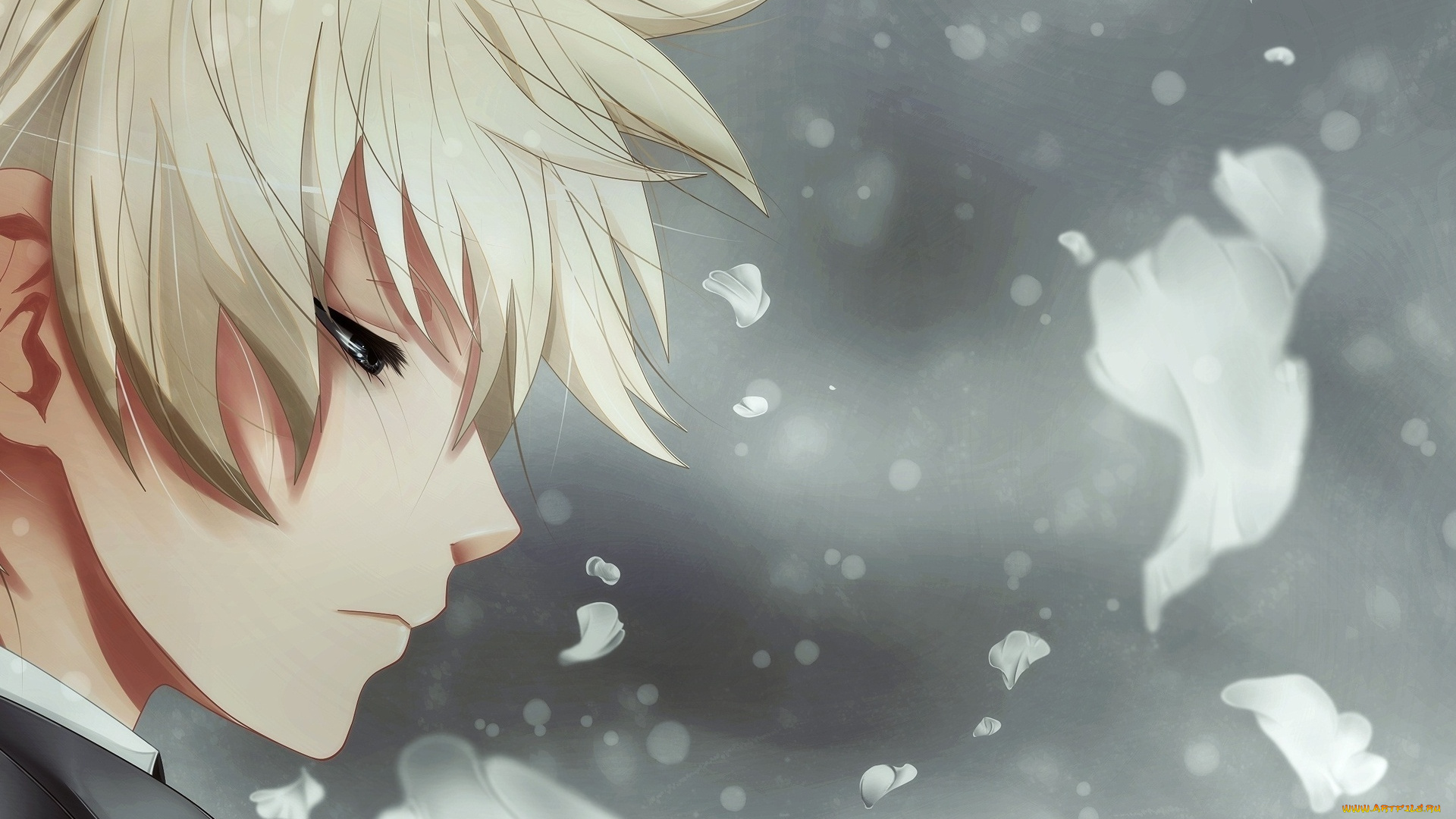 аниме, *unknown, , другое, парень, лепестки, профиль, лицо