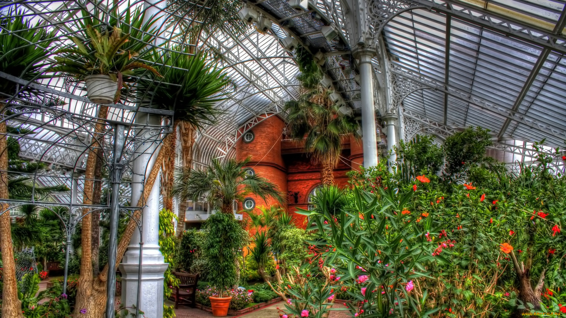 цветы, разные, вместе, оранжерея, растения, деревья