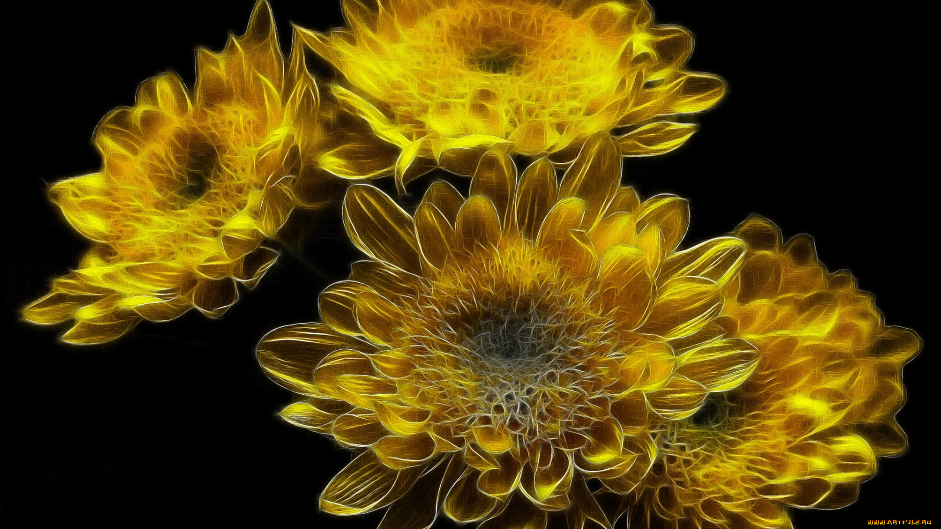 разное, компьютерный, дизайн, букет, цветы