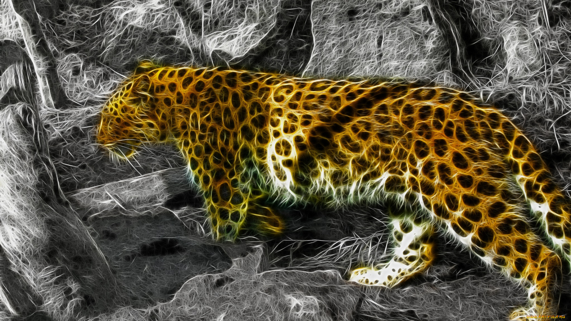 разное, компьютерный, дизайн, леопард