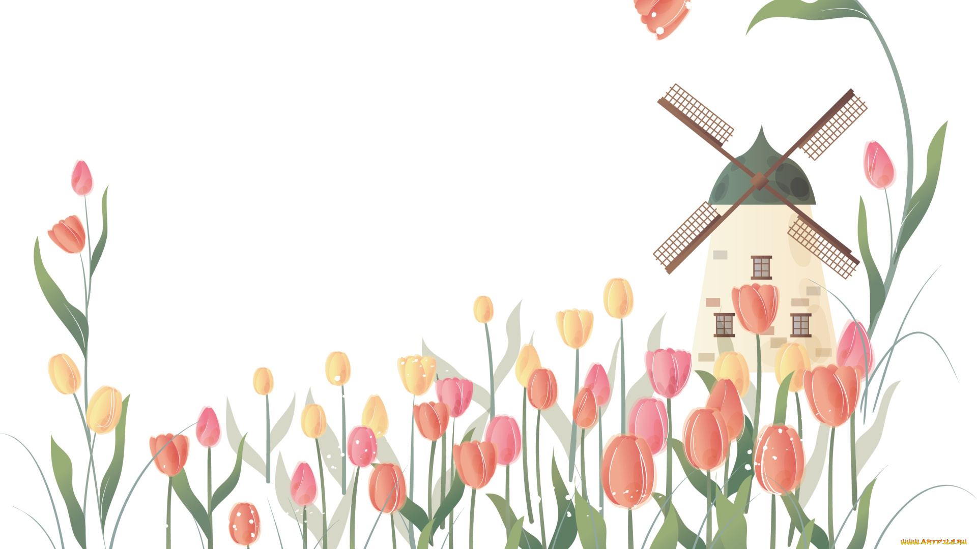 векторная, графика, тюльпаны