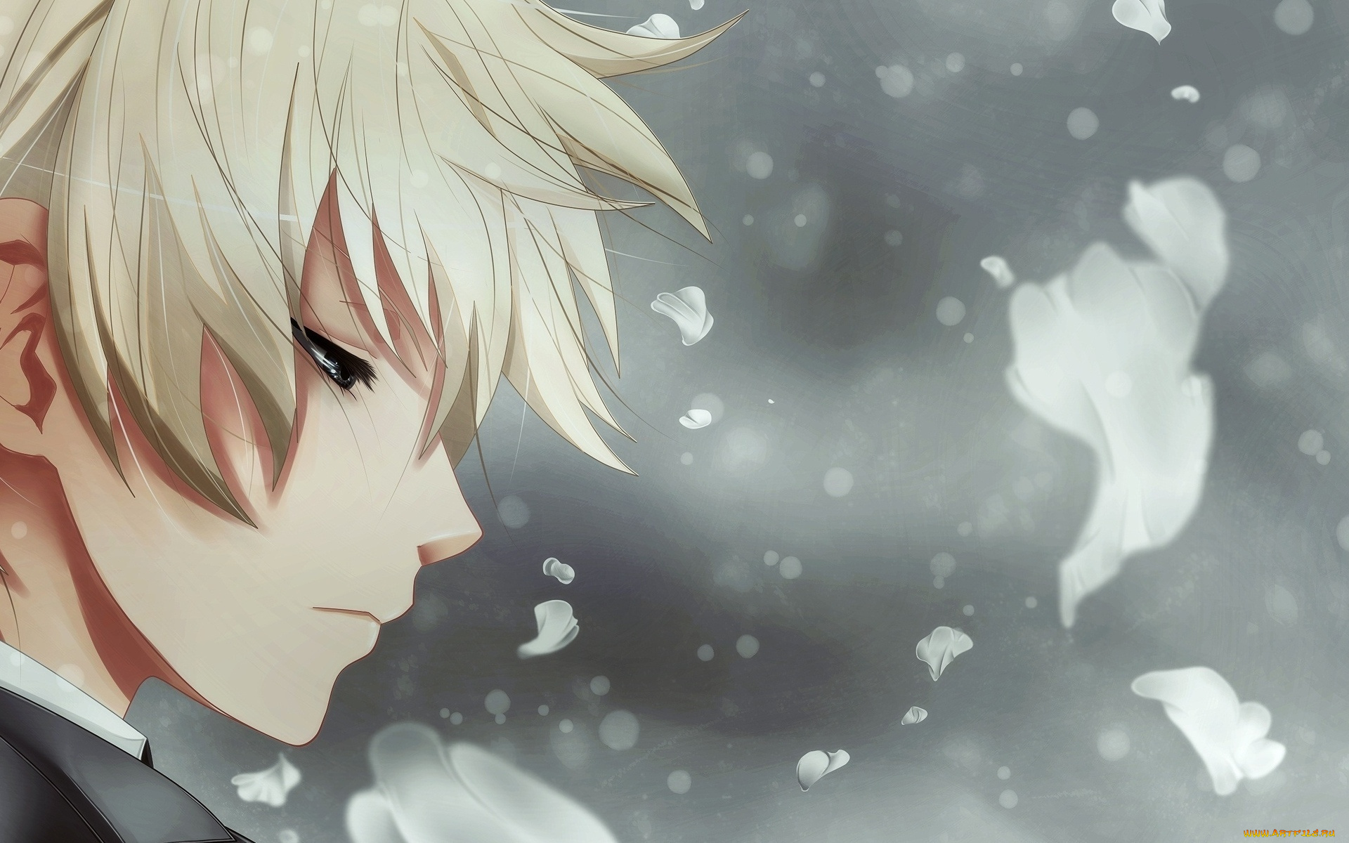 аниме, *unknown, , другое, парень, лепестки, профиль, лицо