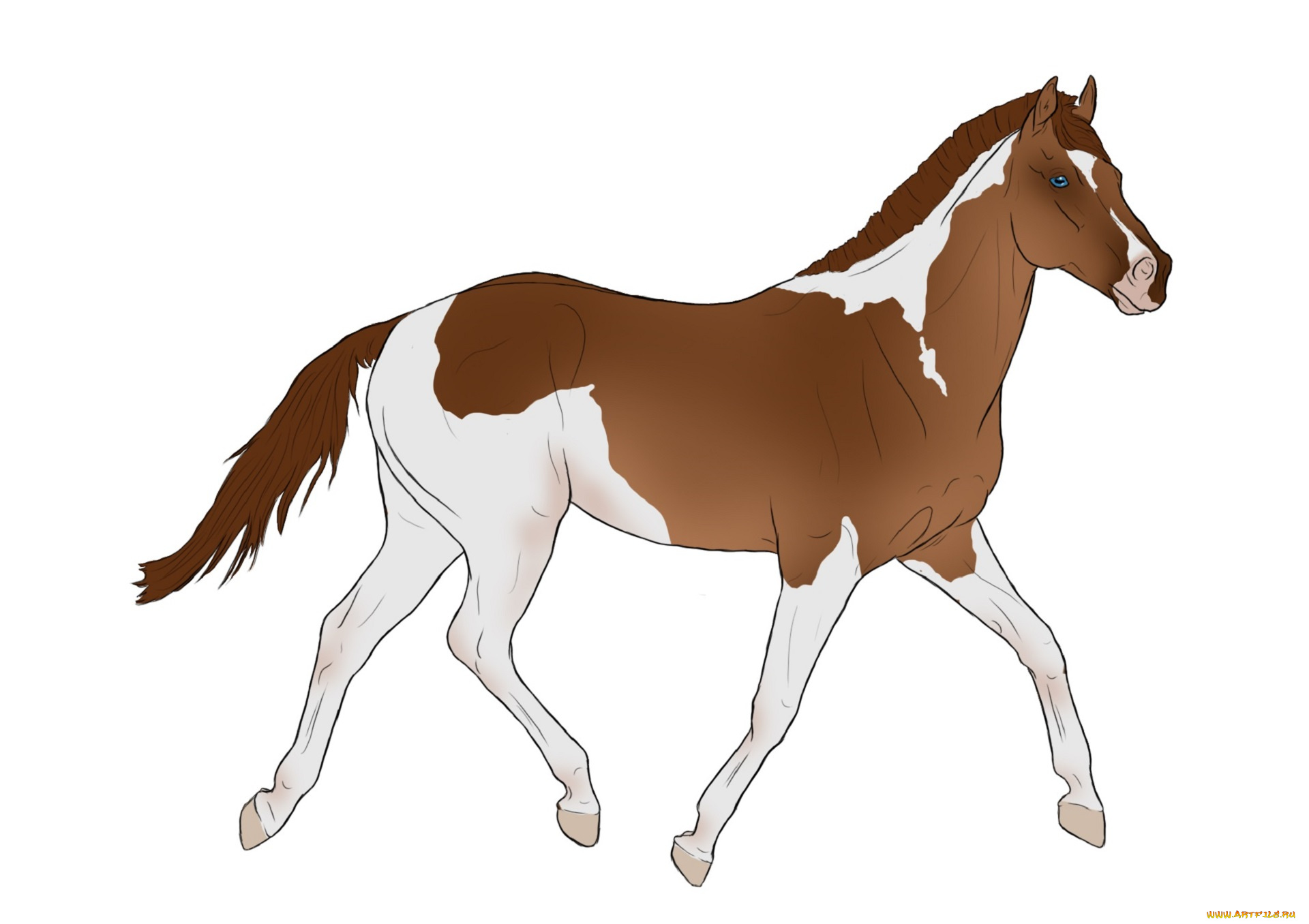 рисованные, животные, , лошади, лошадь