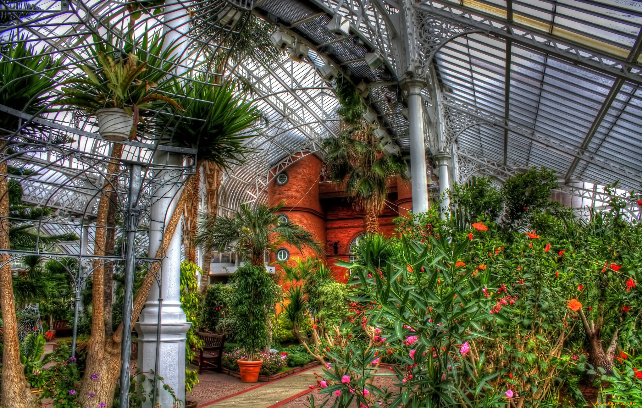 цветы, разные, вместе, оранжерея, растения, деревья