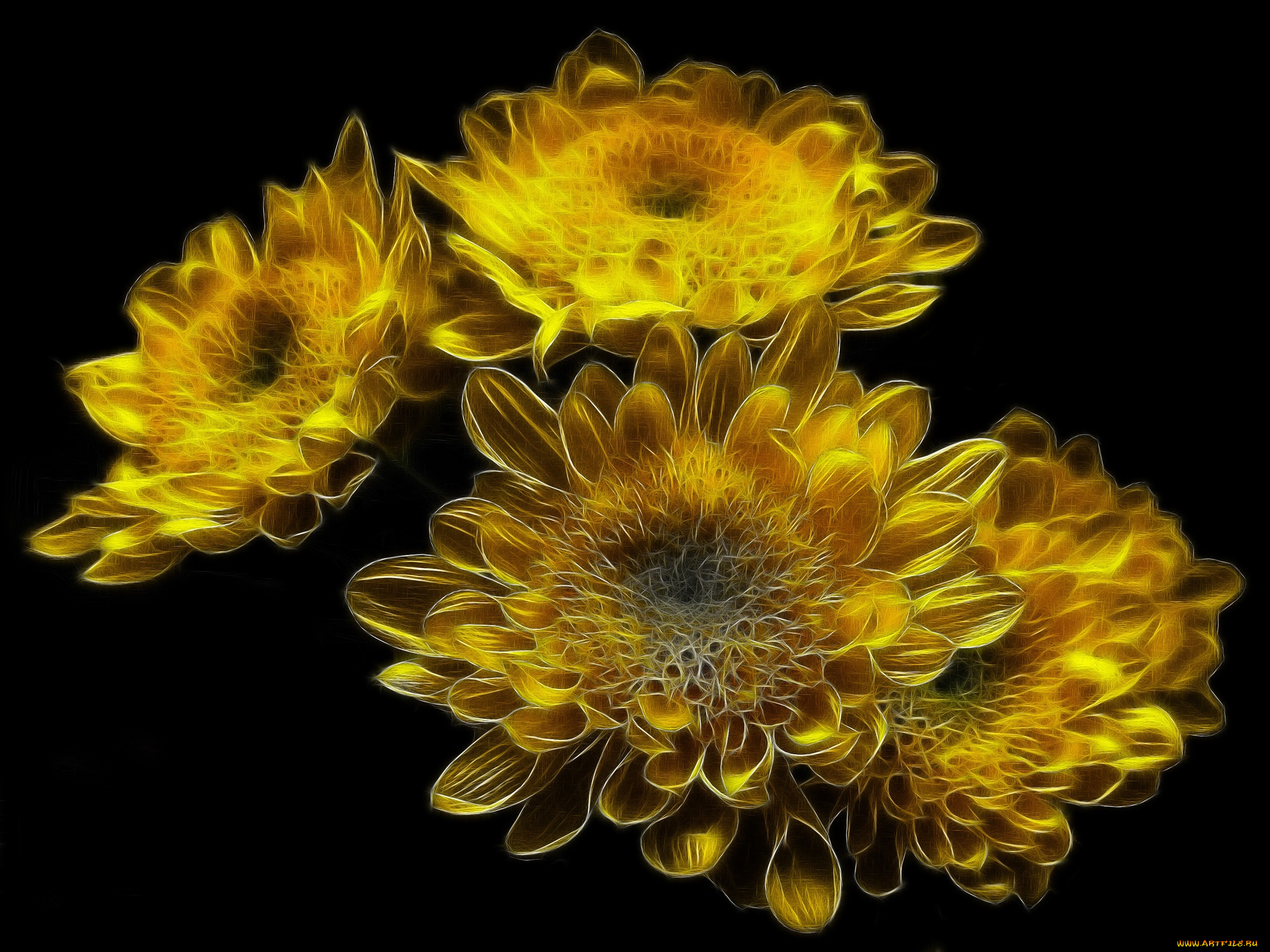 разное, компьютерный, дизайн, букет, цветы