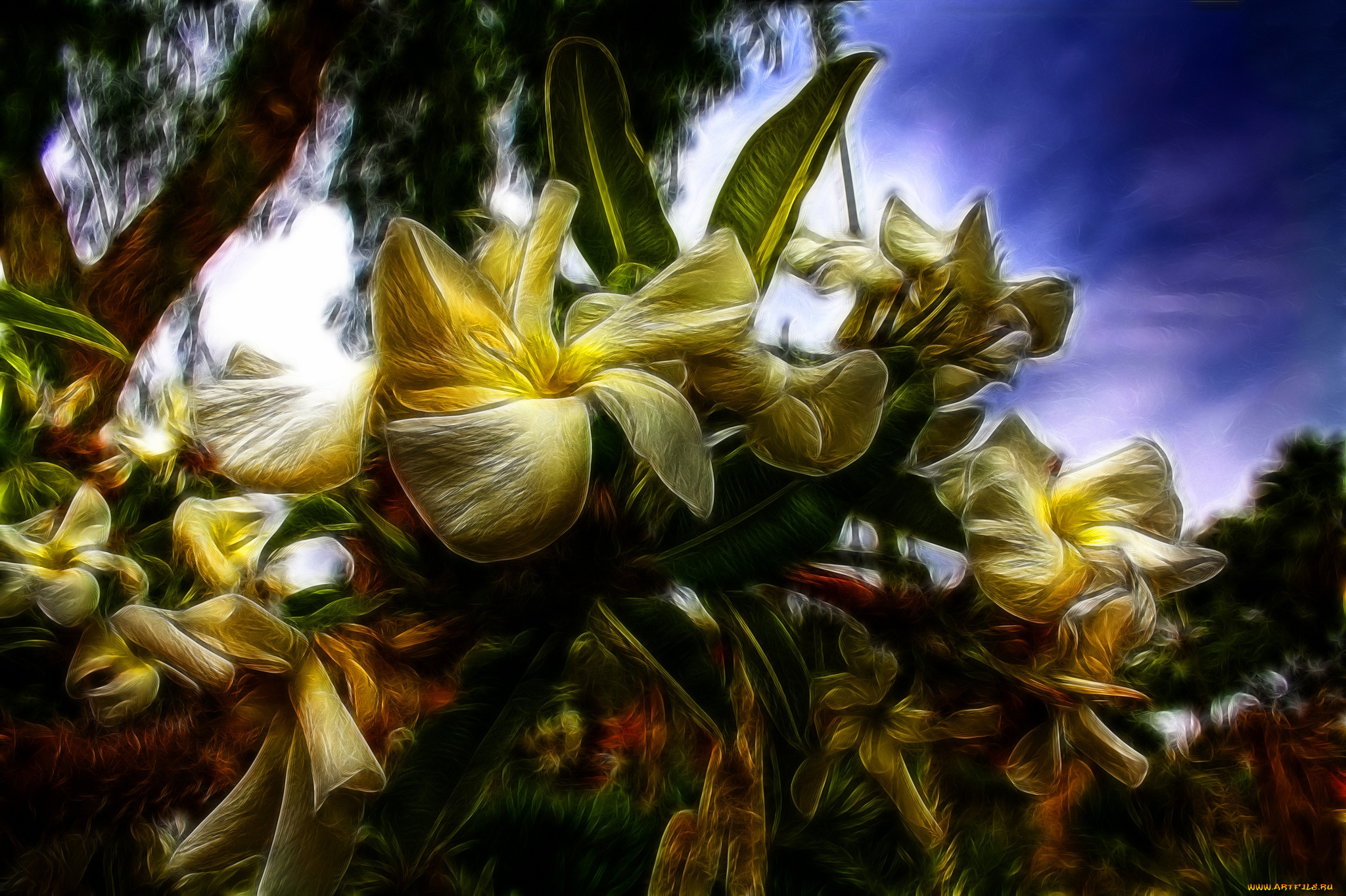 jungle, flowers, разное, компьютерный, дизайн, деревья, цветы, джунгли