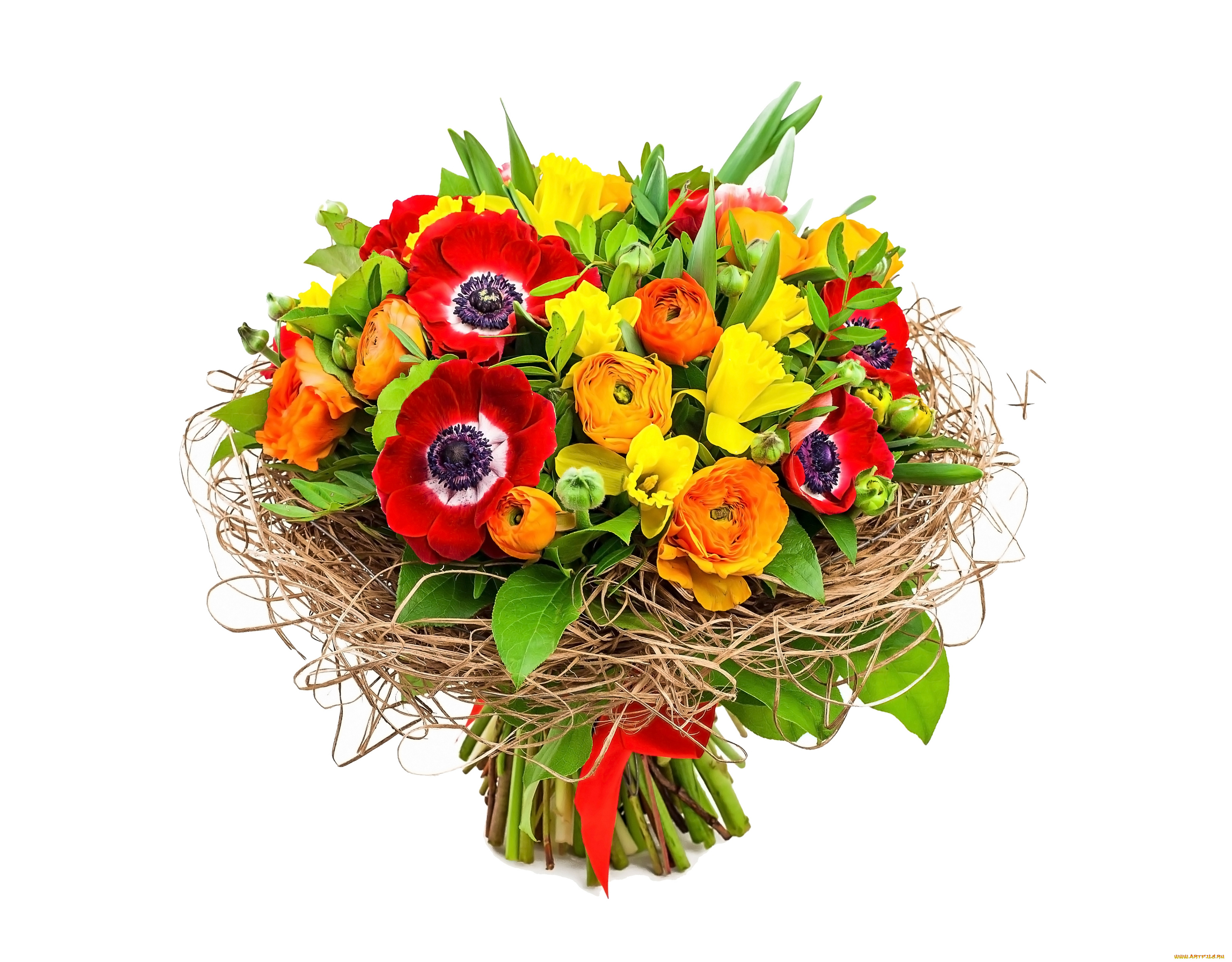 цветы, букеты, , композиции, букет