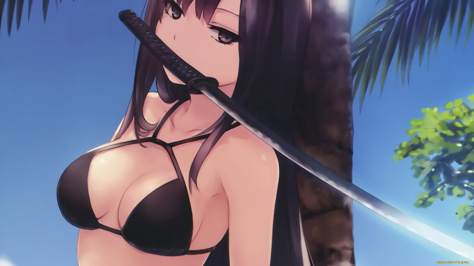 аниме, оружие, , техника, , технологии, coffee-kizoku, kasuga, toru, bishoujo, to, wa, kiru, koto, mitsuketari