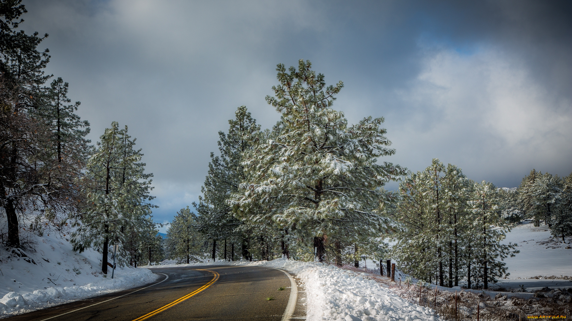 природа, дороги, снег, шоссе, лес