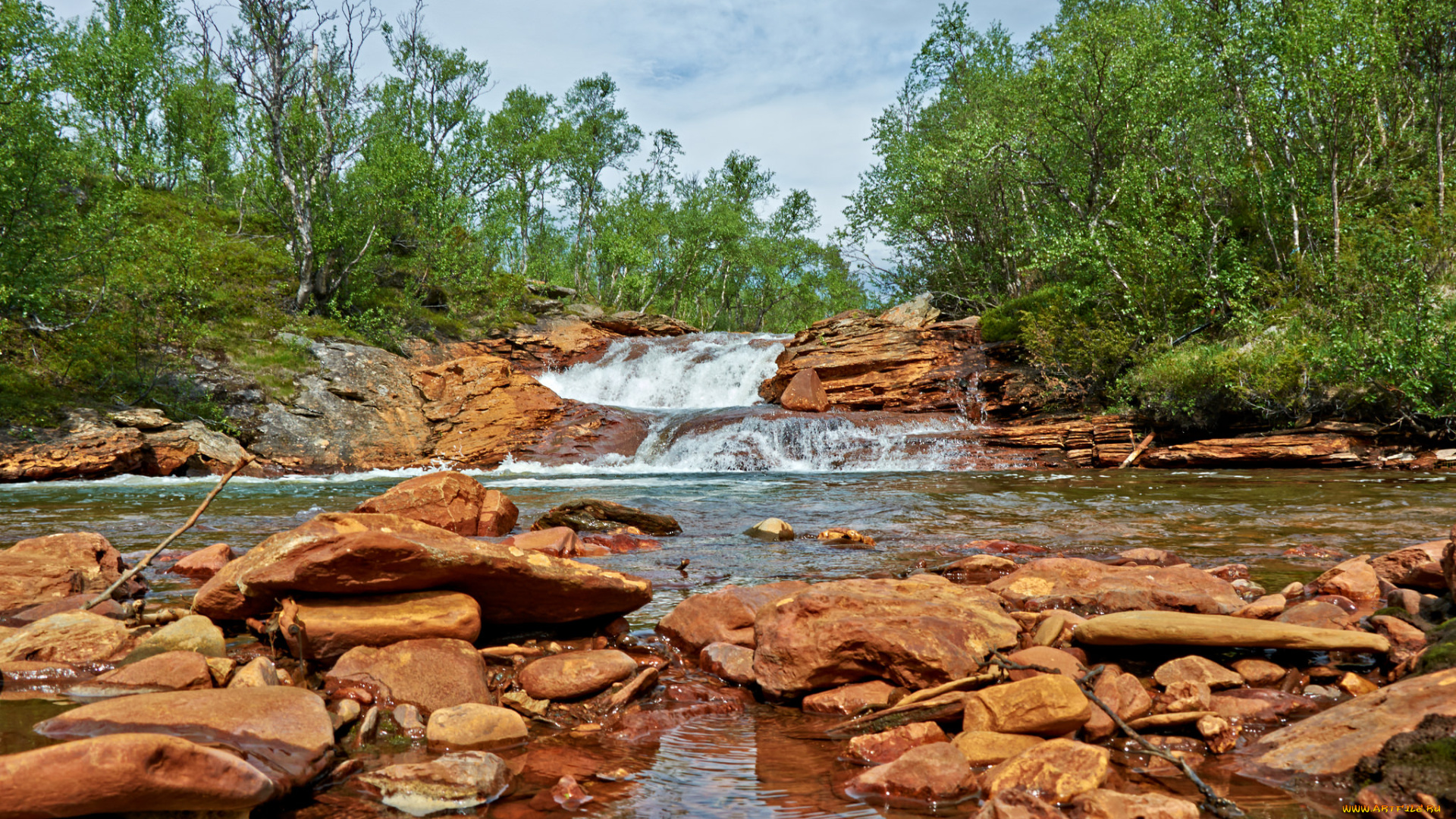 природа, реки, озера, река, лес