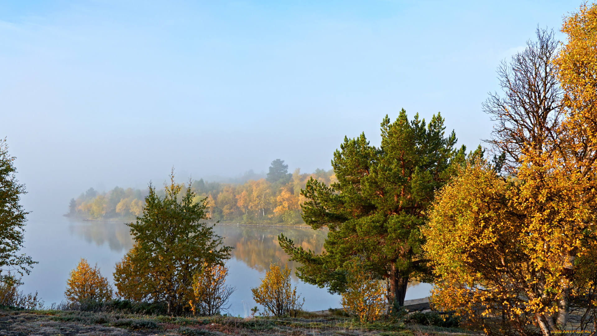 природа, реки, озера, река, лес