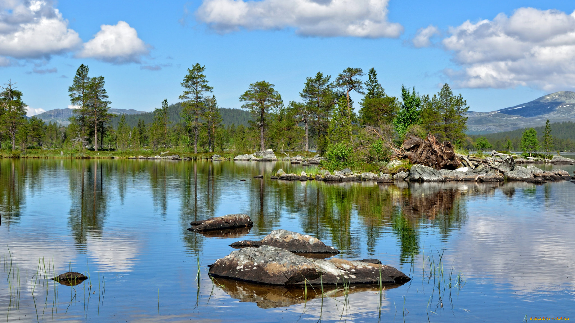 природа, реки, озера, река, лес