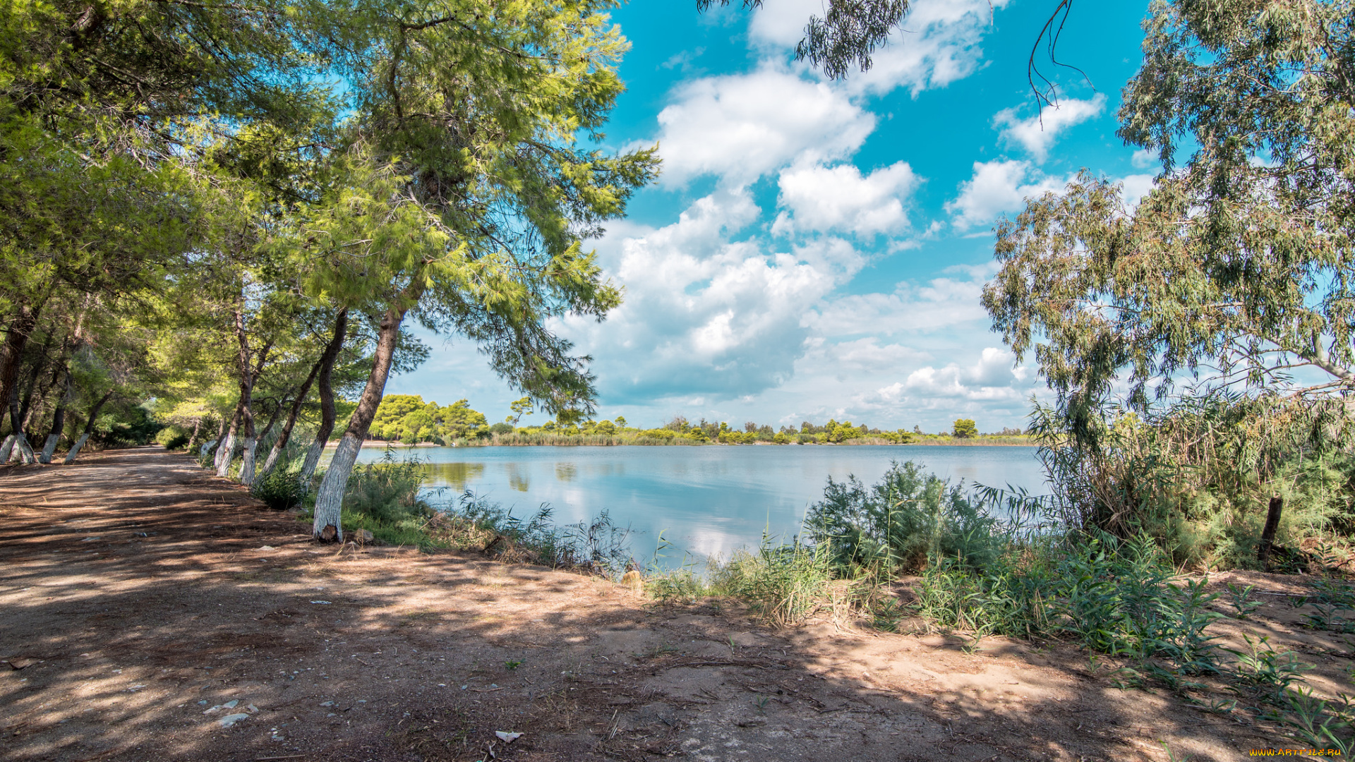 природа, реки, озера, река, лес