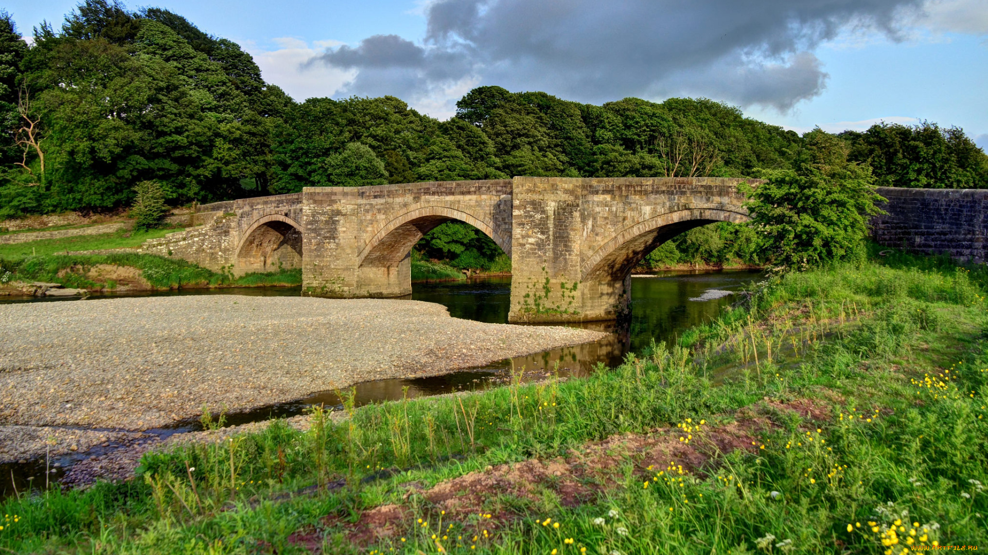 природа, реки, озера, река, лес