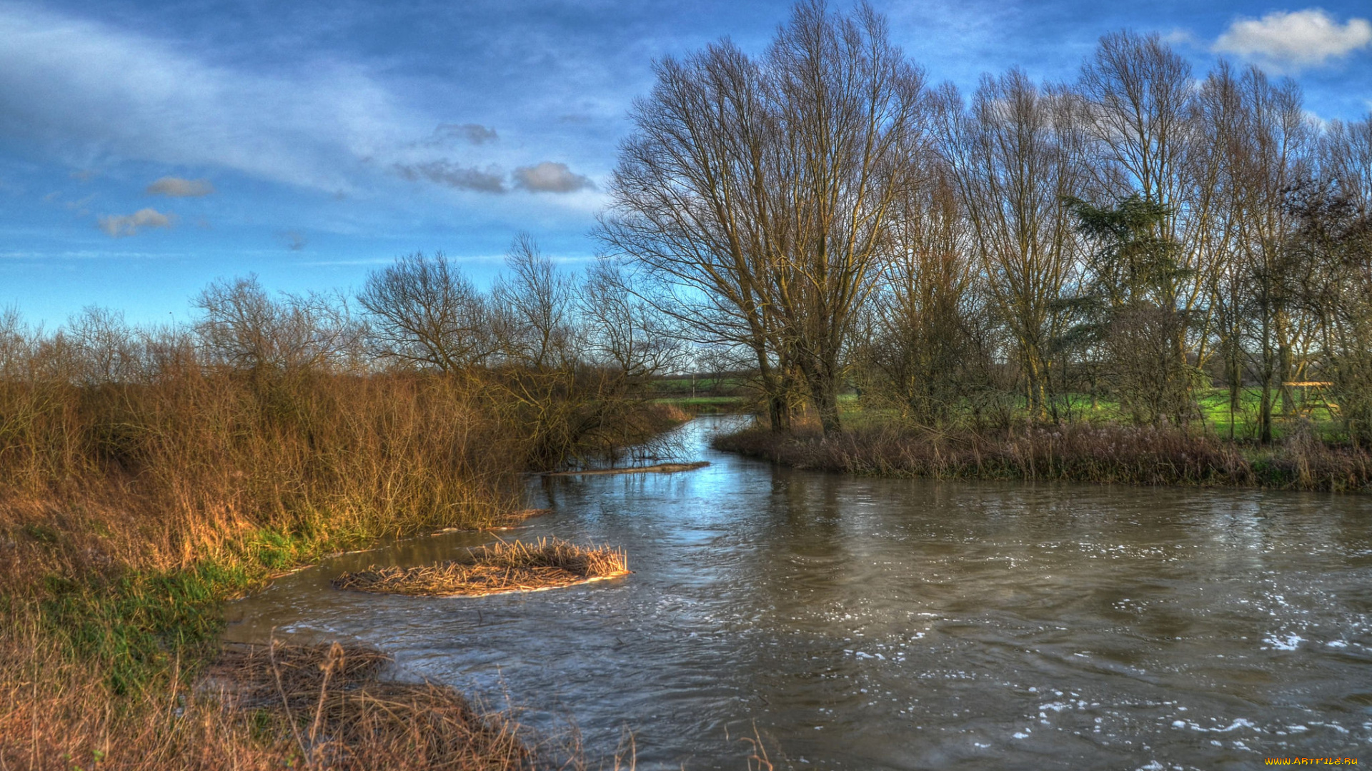 природа, реки, озера, река, лес