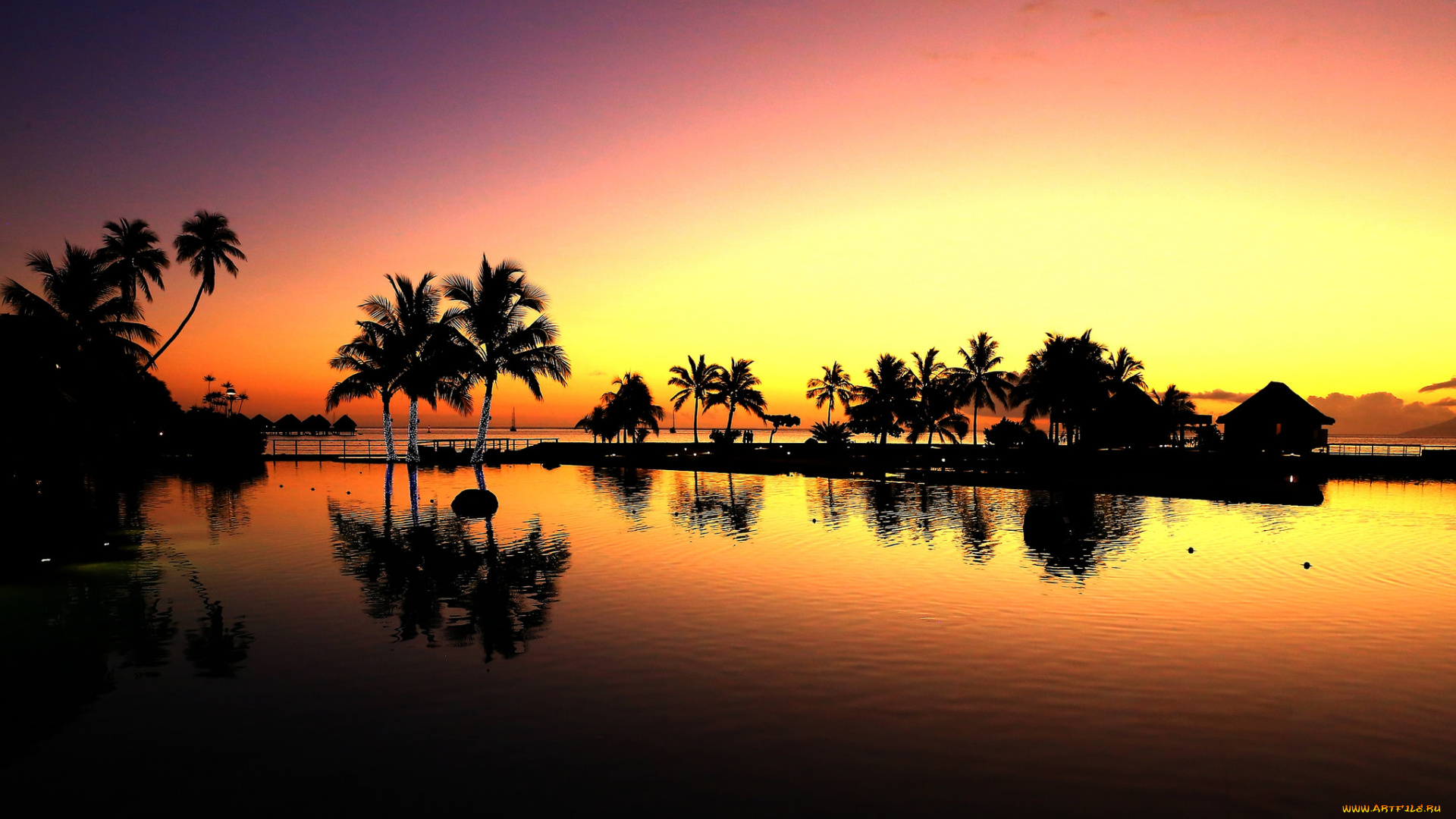 природа, тропики, рассвет