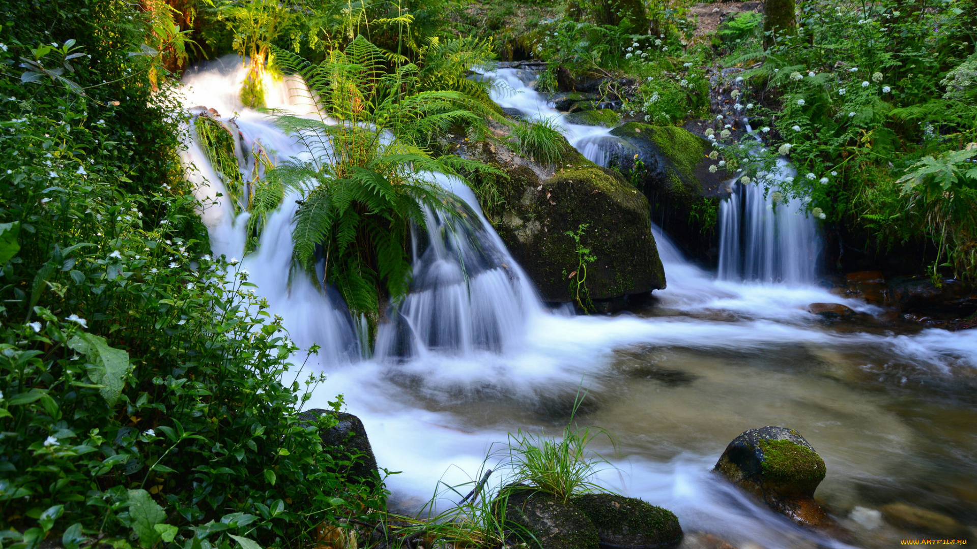 природа, водопады, река, поток