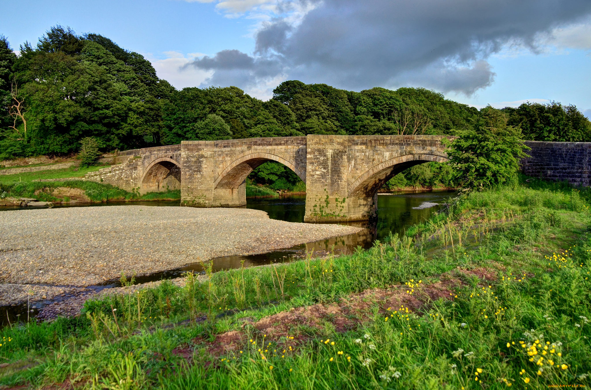 природа, реки, озера, река, лес