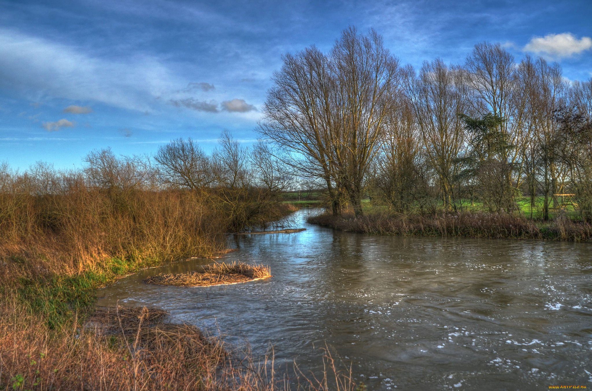 природа, реки, озера, река, лес