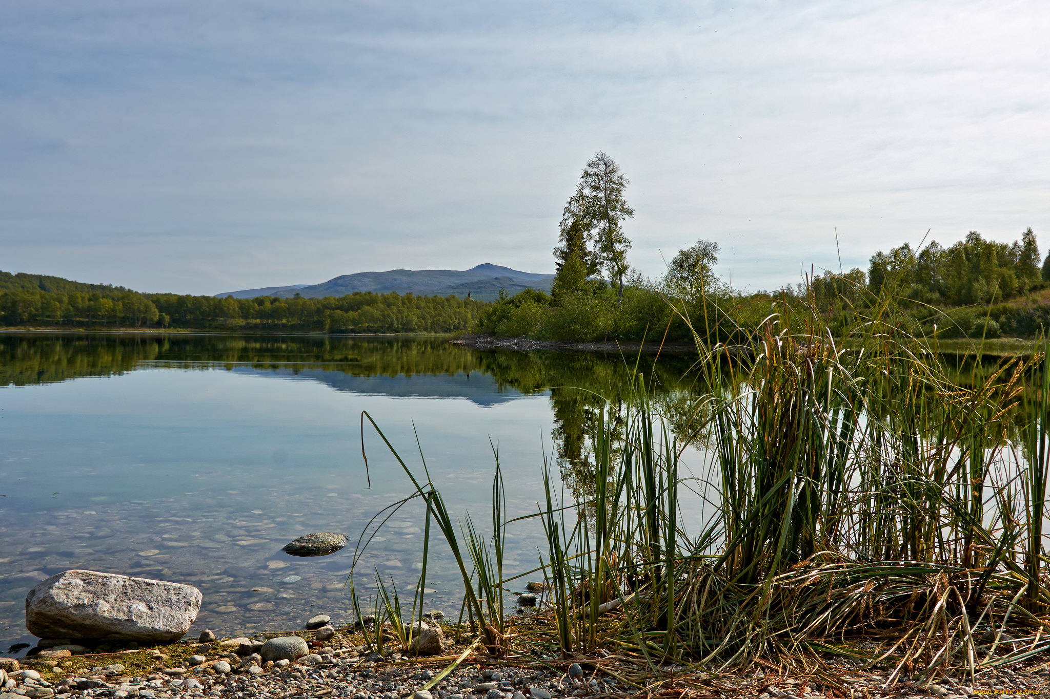 природа, реки, озера, лес, река