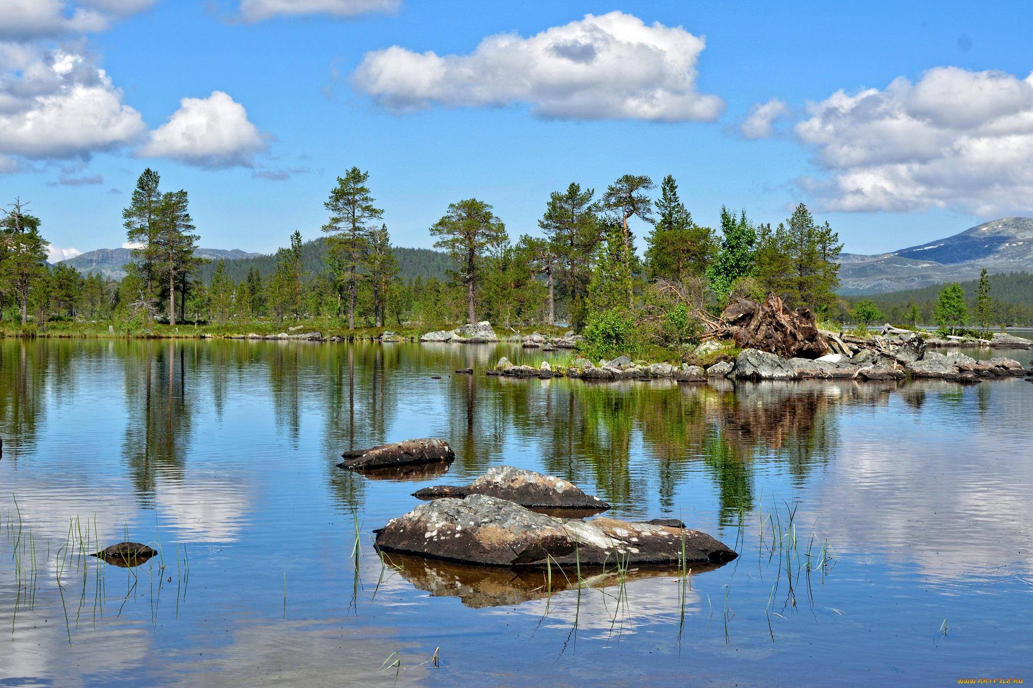 природа, реки, озера, река, лес