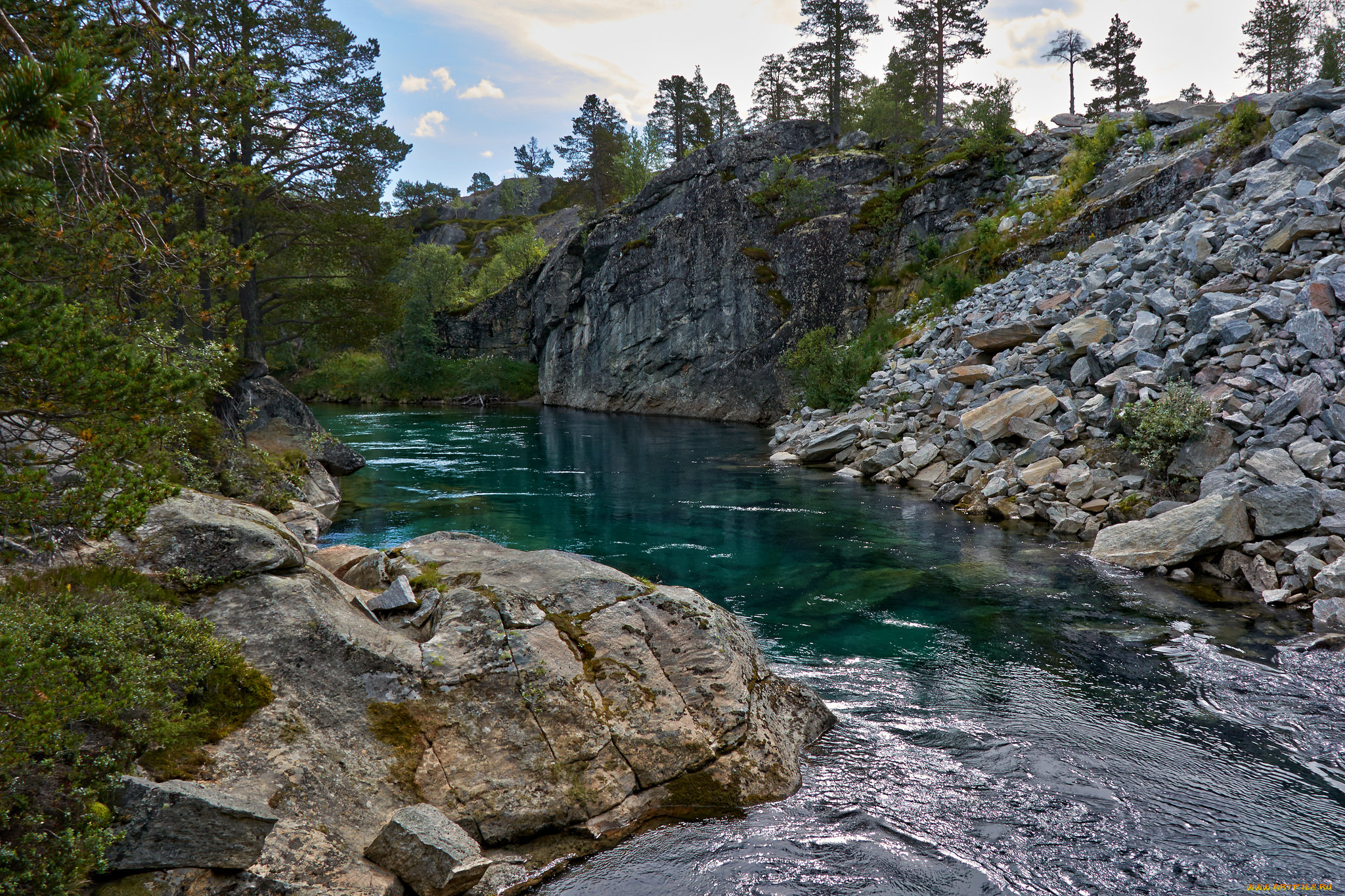 природа, реки, озера, река, лес