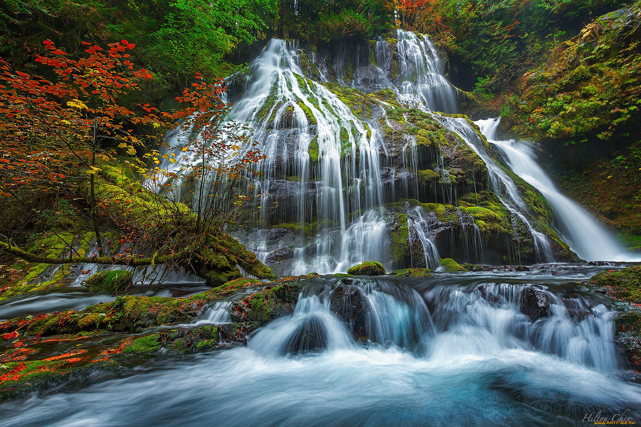 природа, водопады, водопад, река, лес
