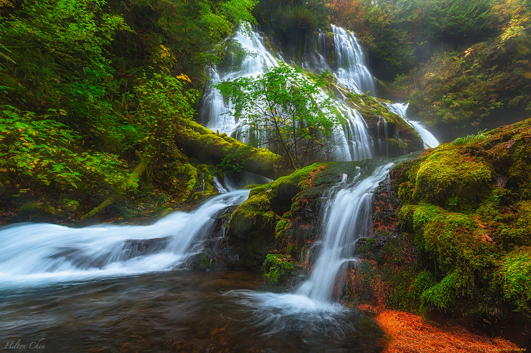 природа, водопады, водопад, река, лес