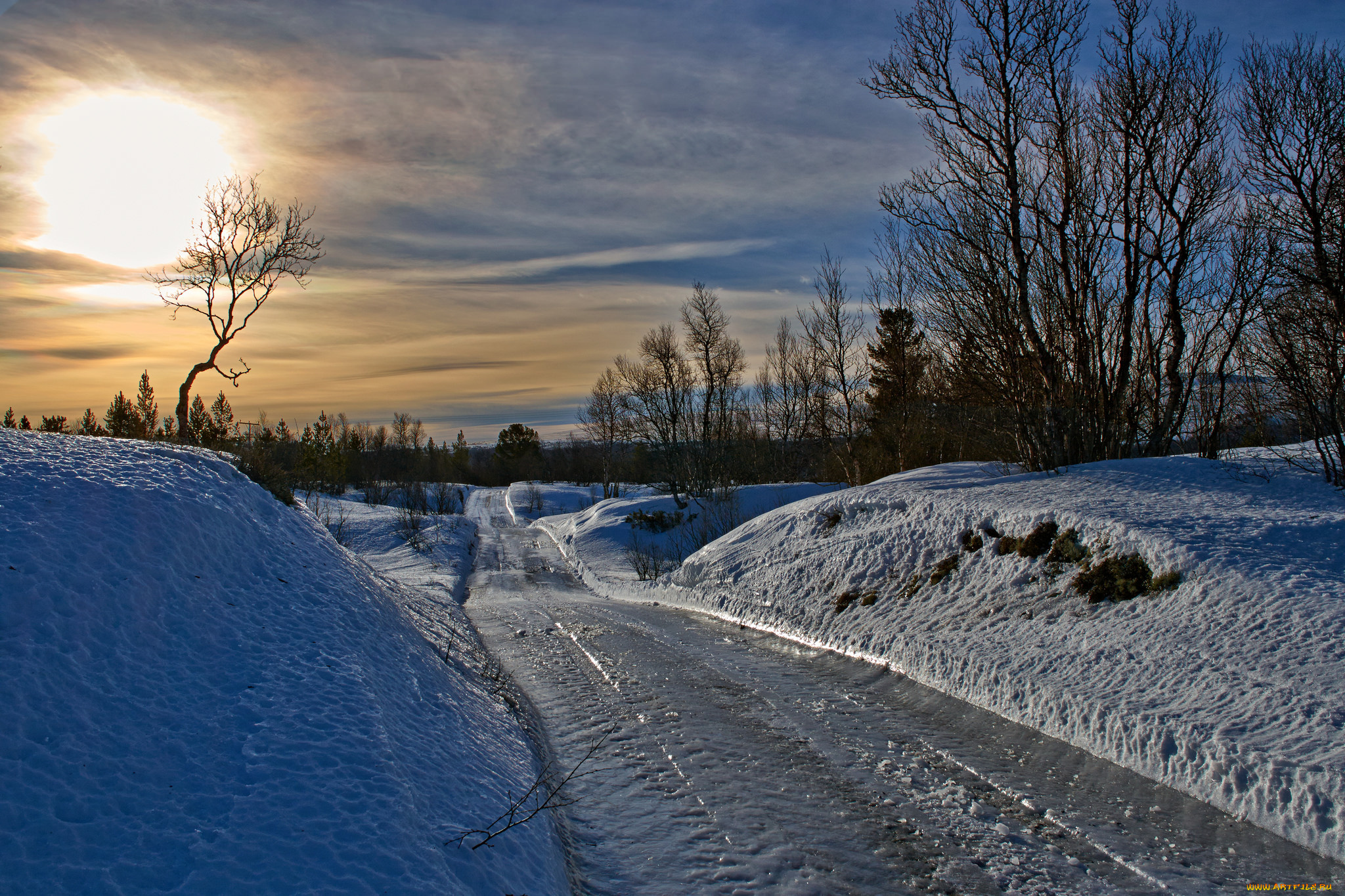 природа, зима, река, лес