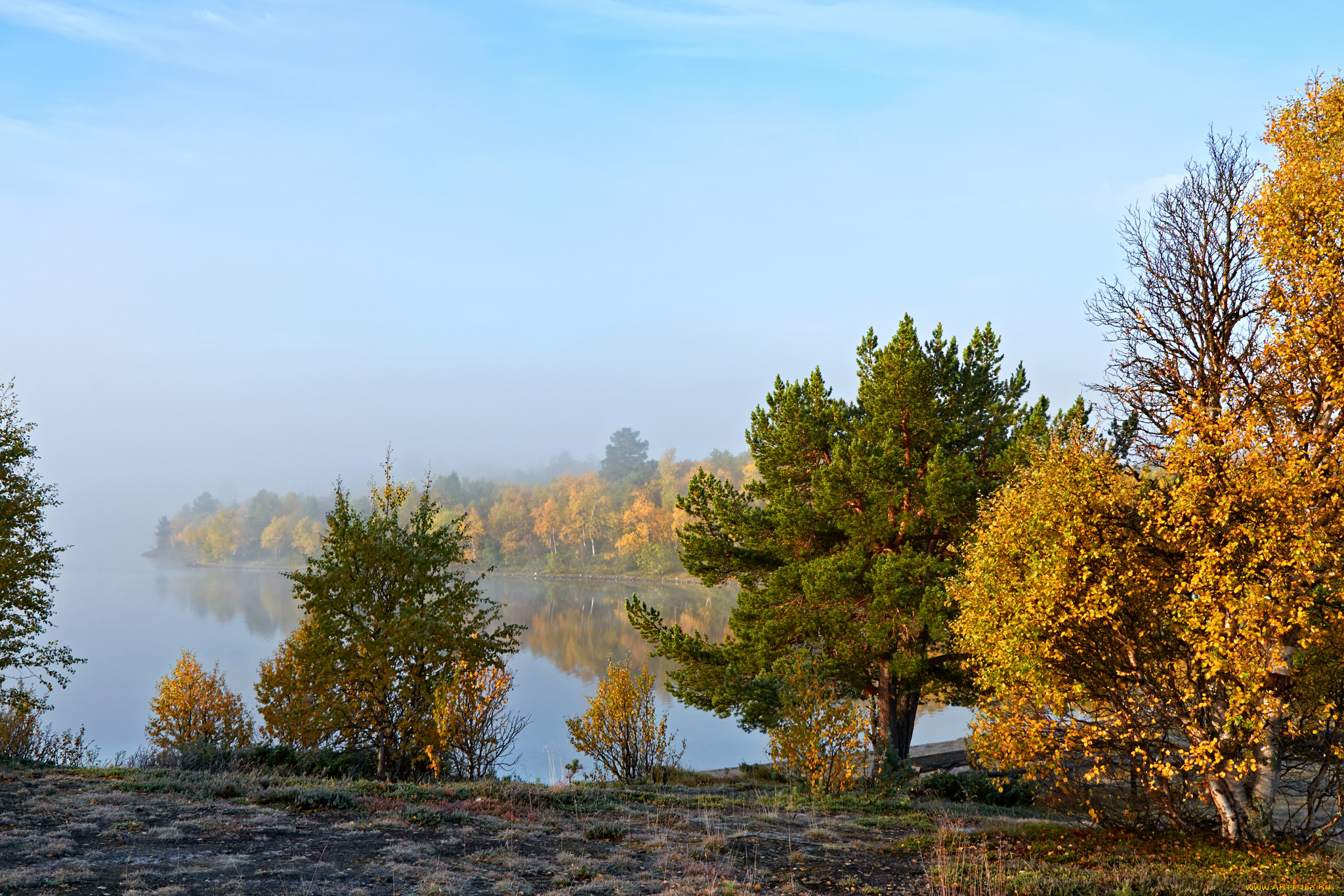 природа, реки, озера, река, лес