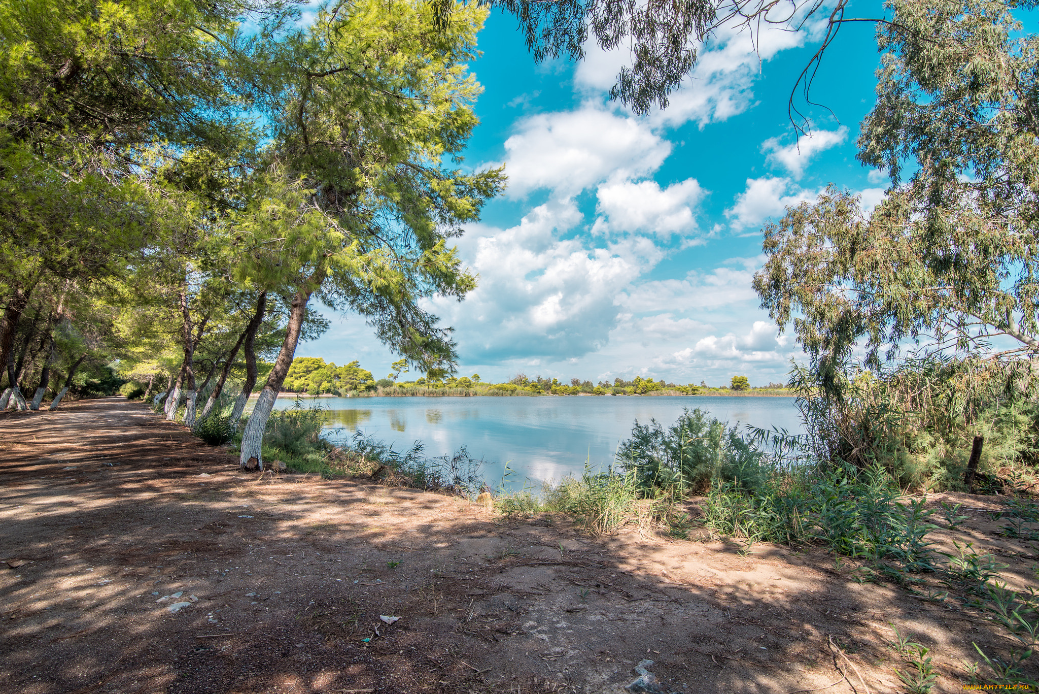 природа, реки, озера, река, лес